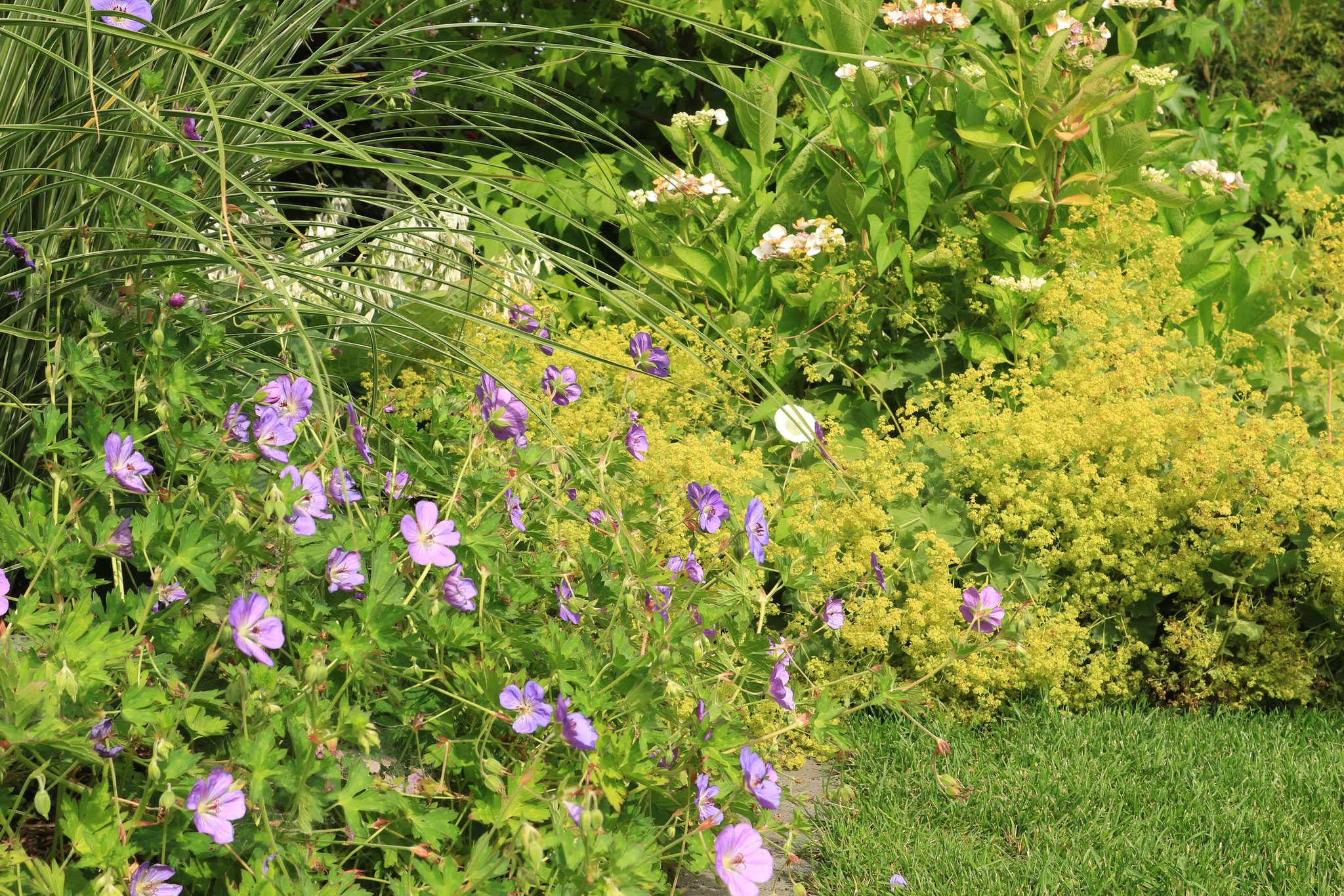 Geradlinige Gartenarchitektur Pia Konrad