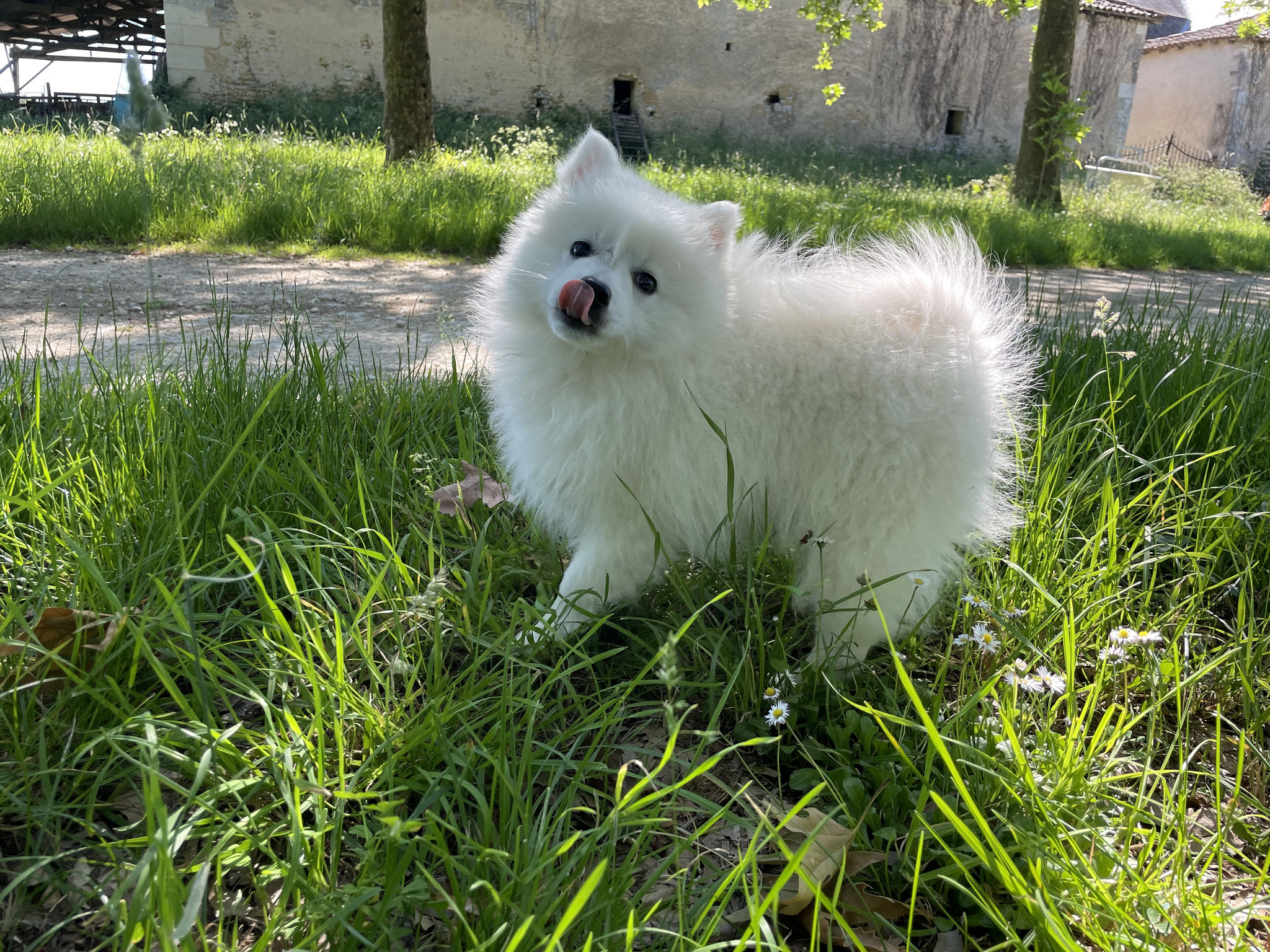 Bianca