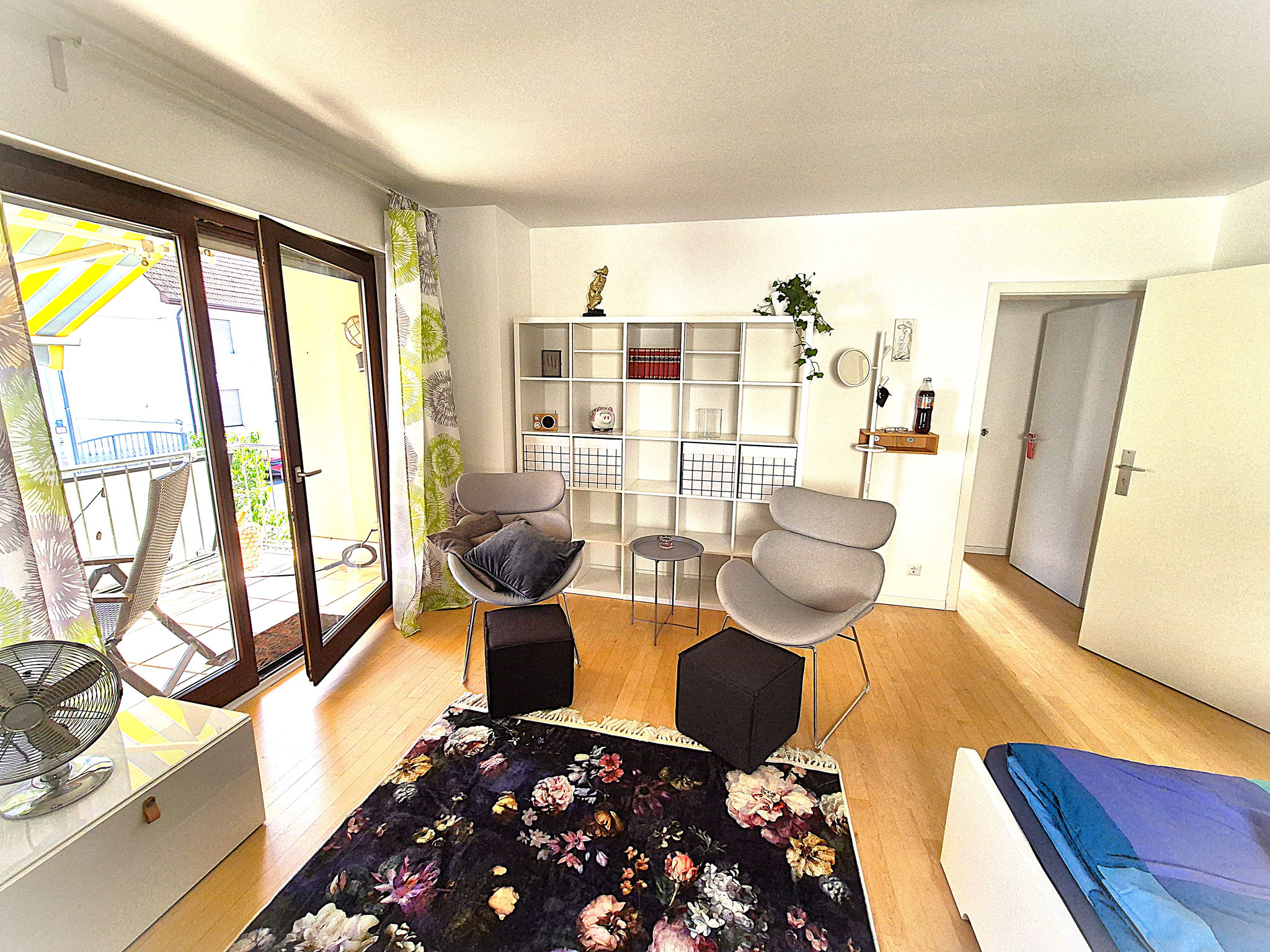 Wohnbereich mit Couch möbliertes Apartment Mainz