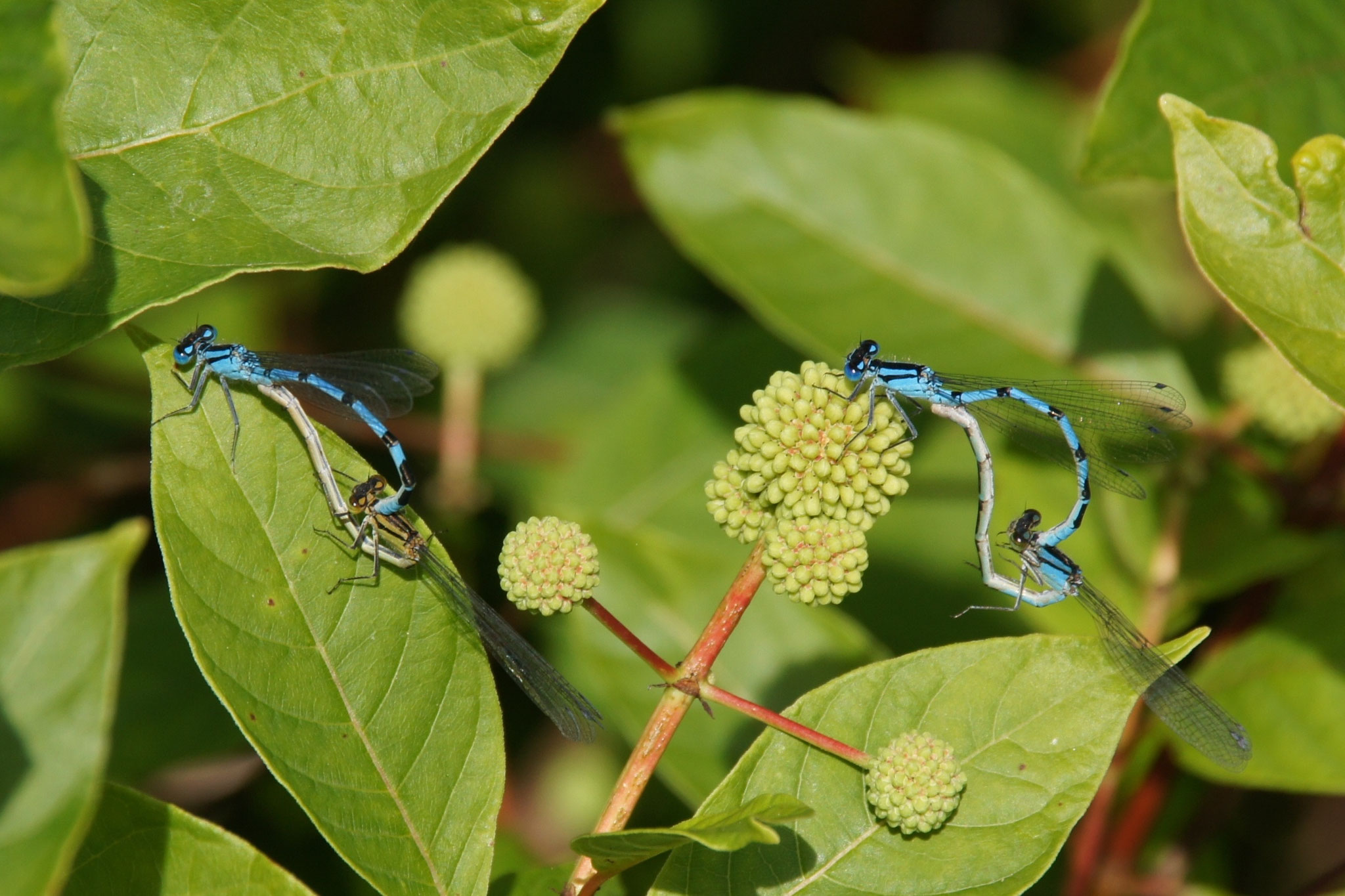 Meeting©Gudrun Moritz
