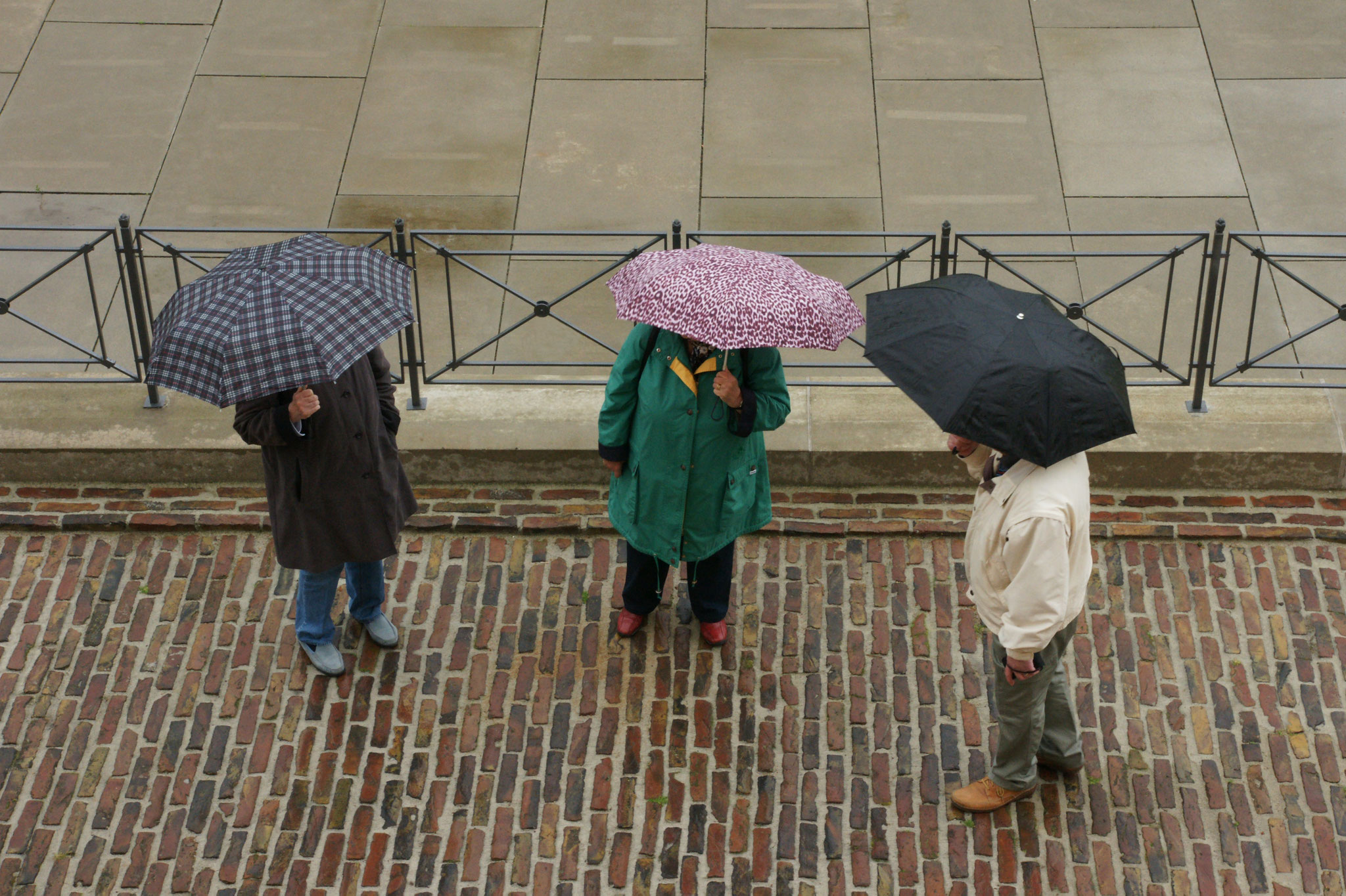 Hakon Johannsen - beschirmt