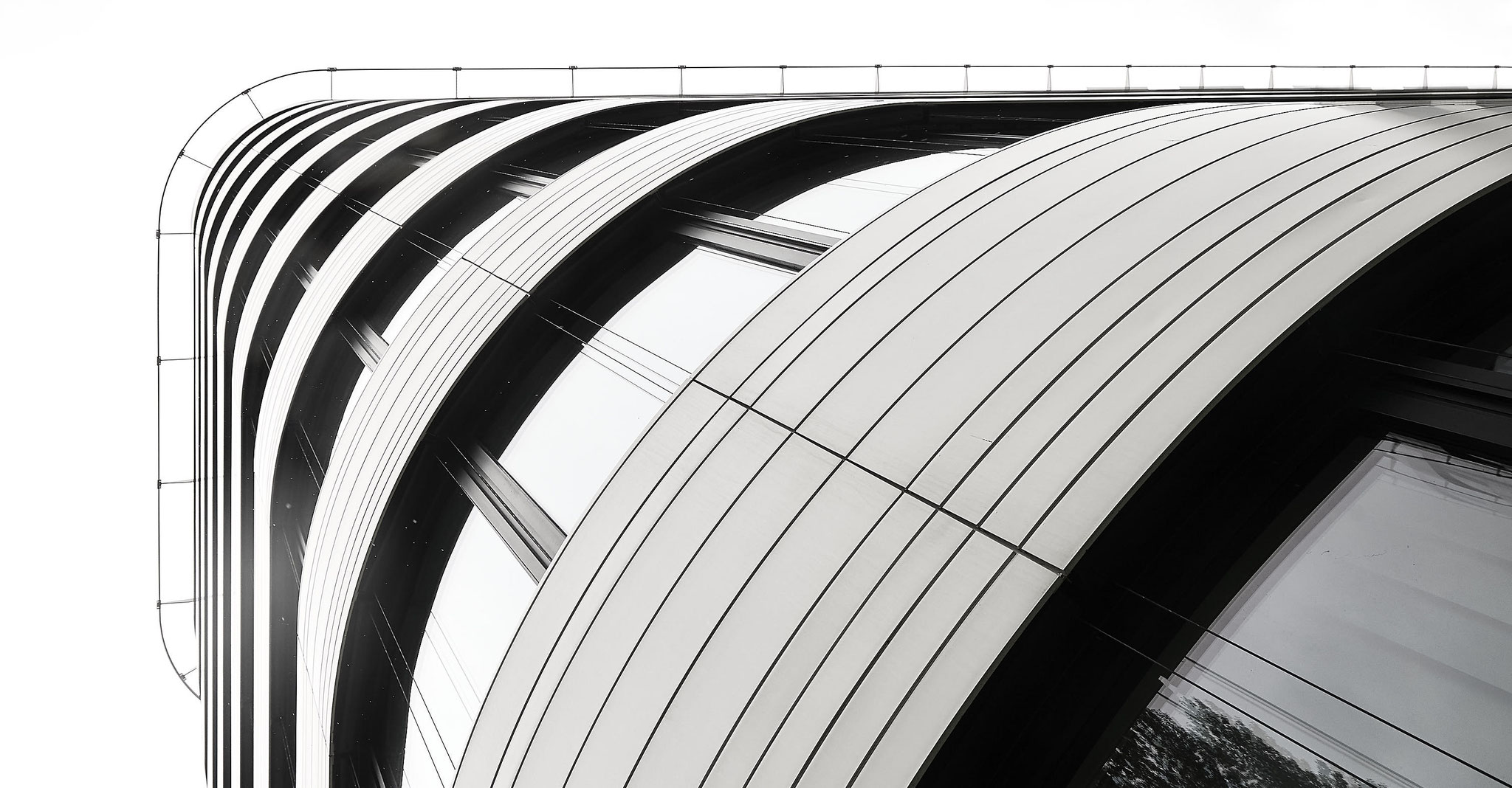 Eckläufer©Wolfhard Müller