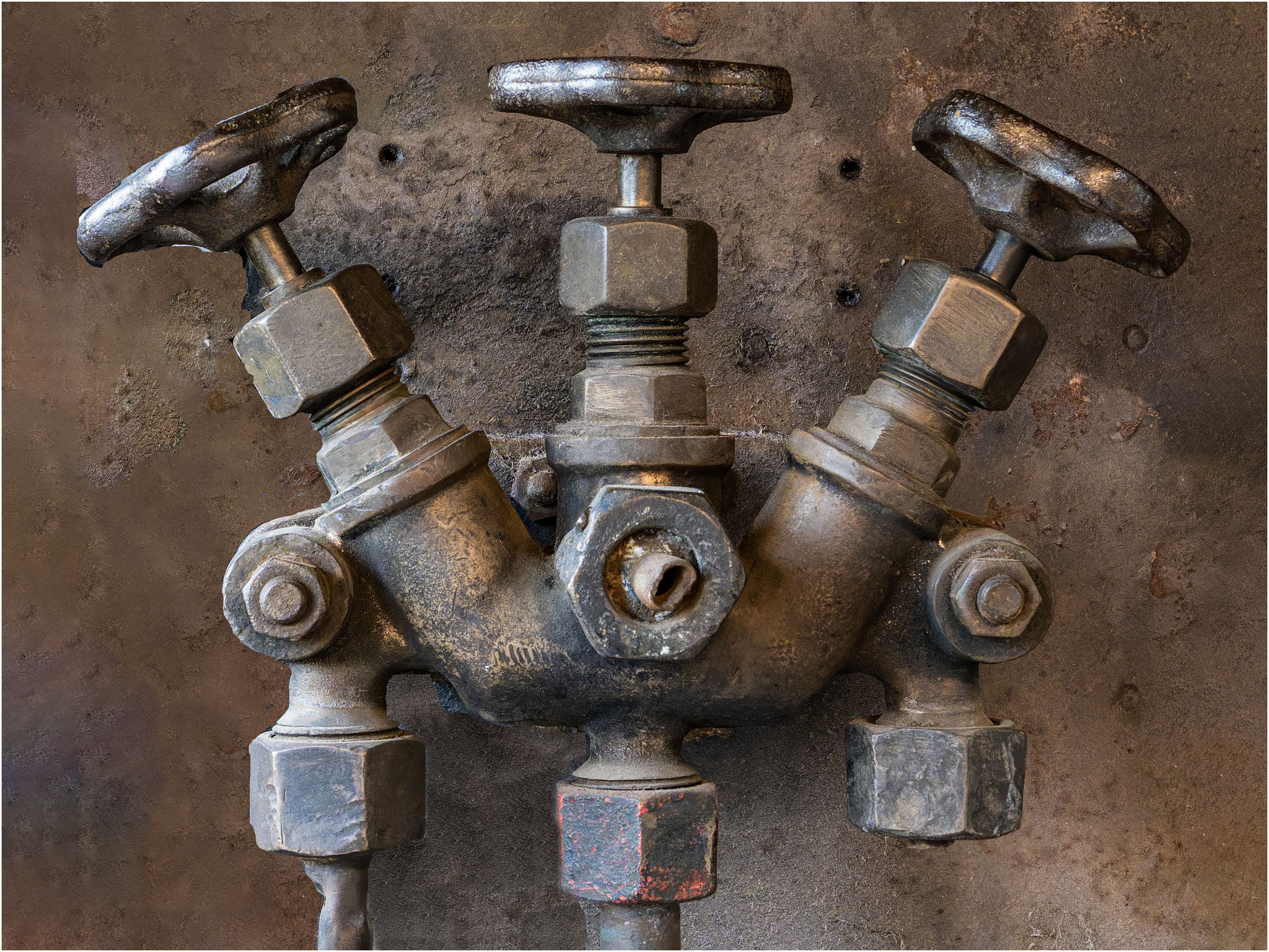 Werner Kaiser - drei Hähne