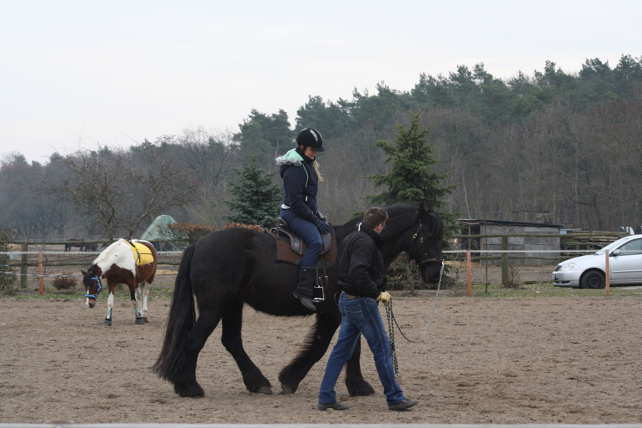 Reiten ist Kommunikation