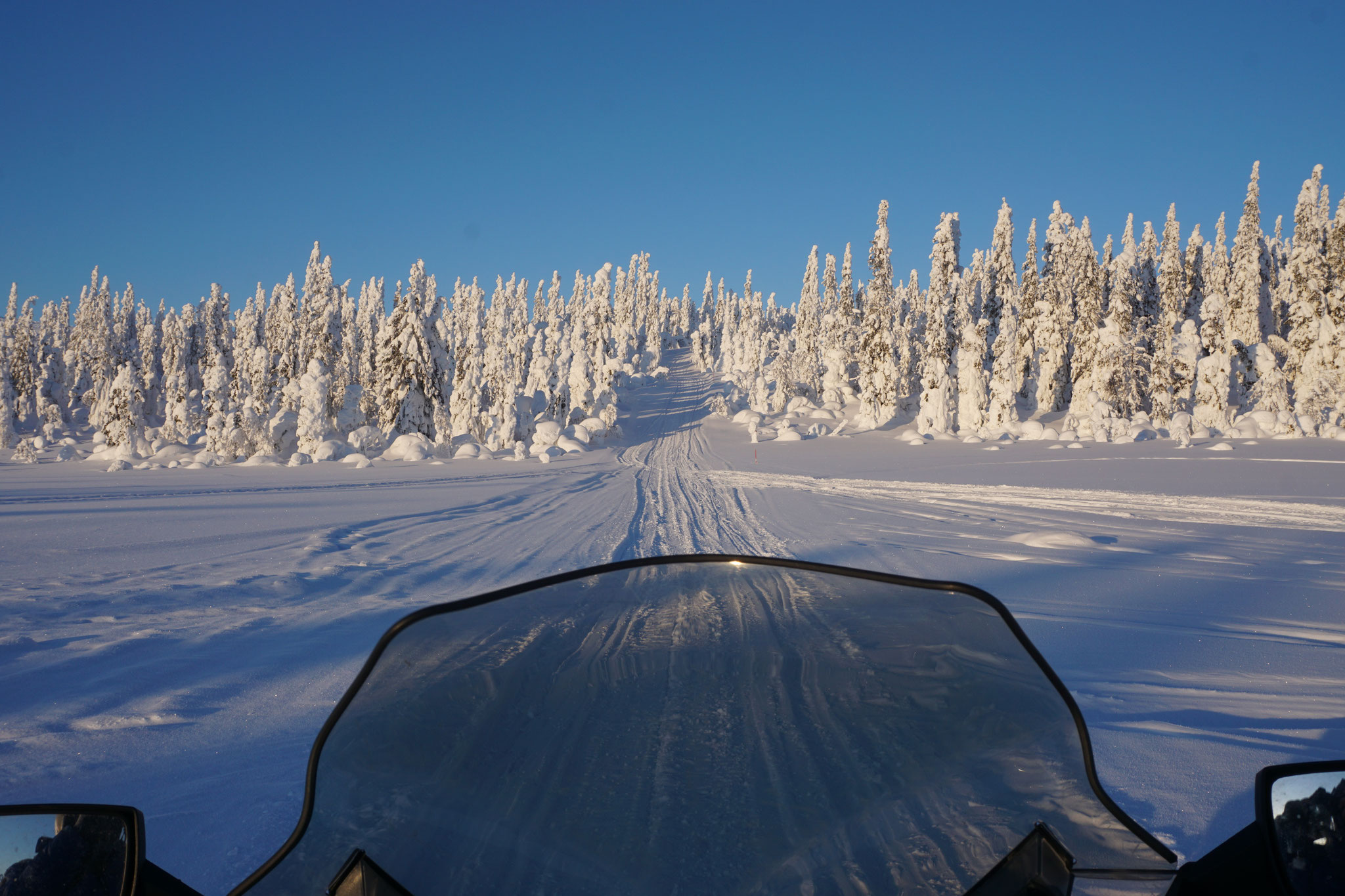Auf den Winterwegen Lapplands