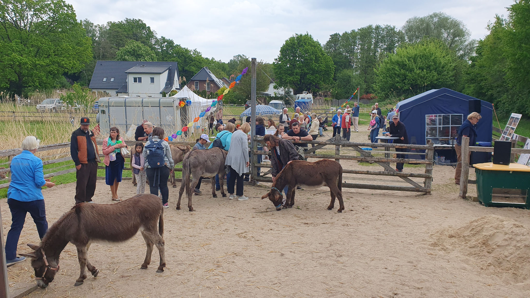 - und besuchen die Esel