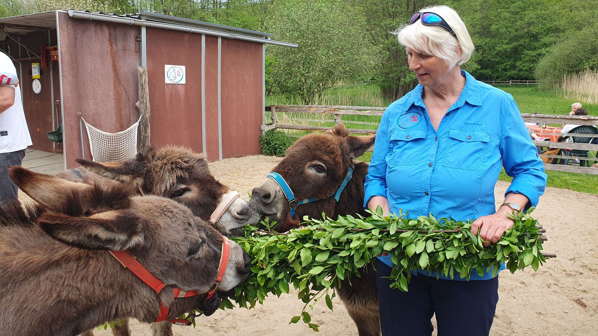 Gastgeschenke - Catering für die Esel