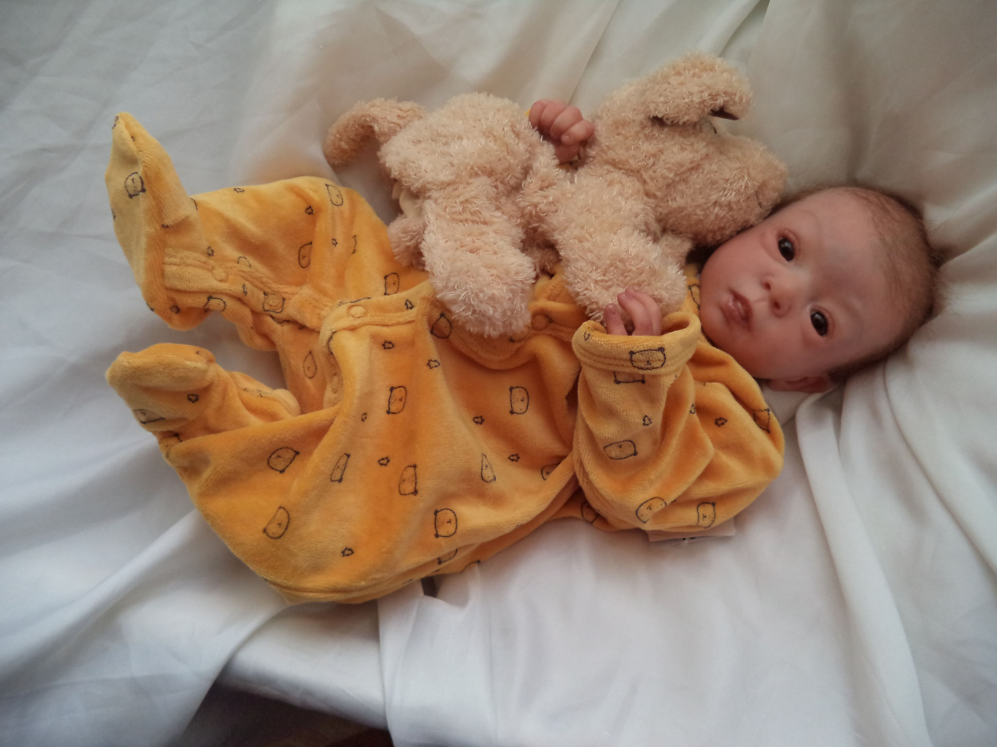 Bambole reborn in attesa di adozione new arrivals