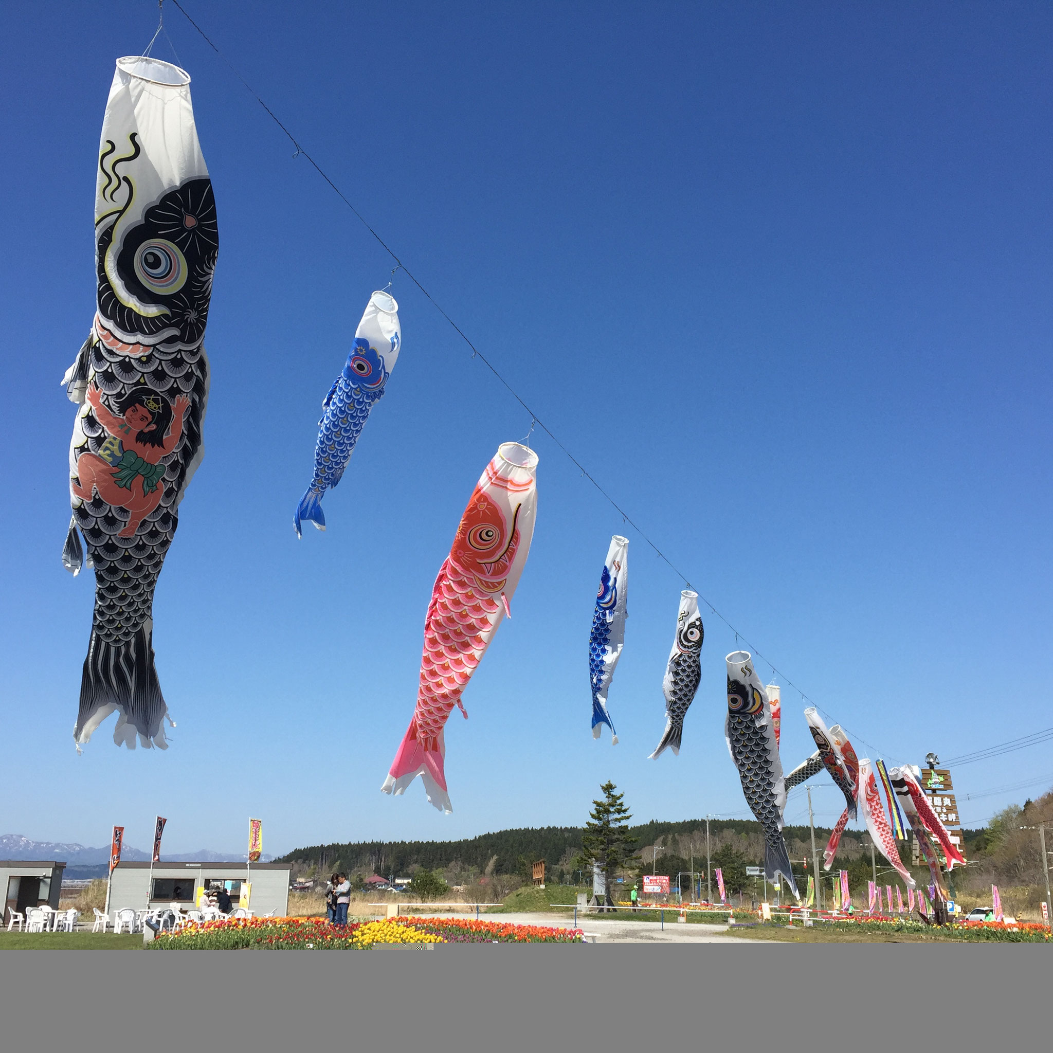サラキ岬