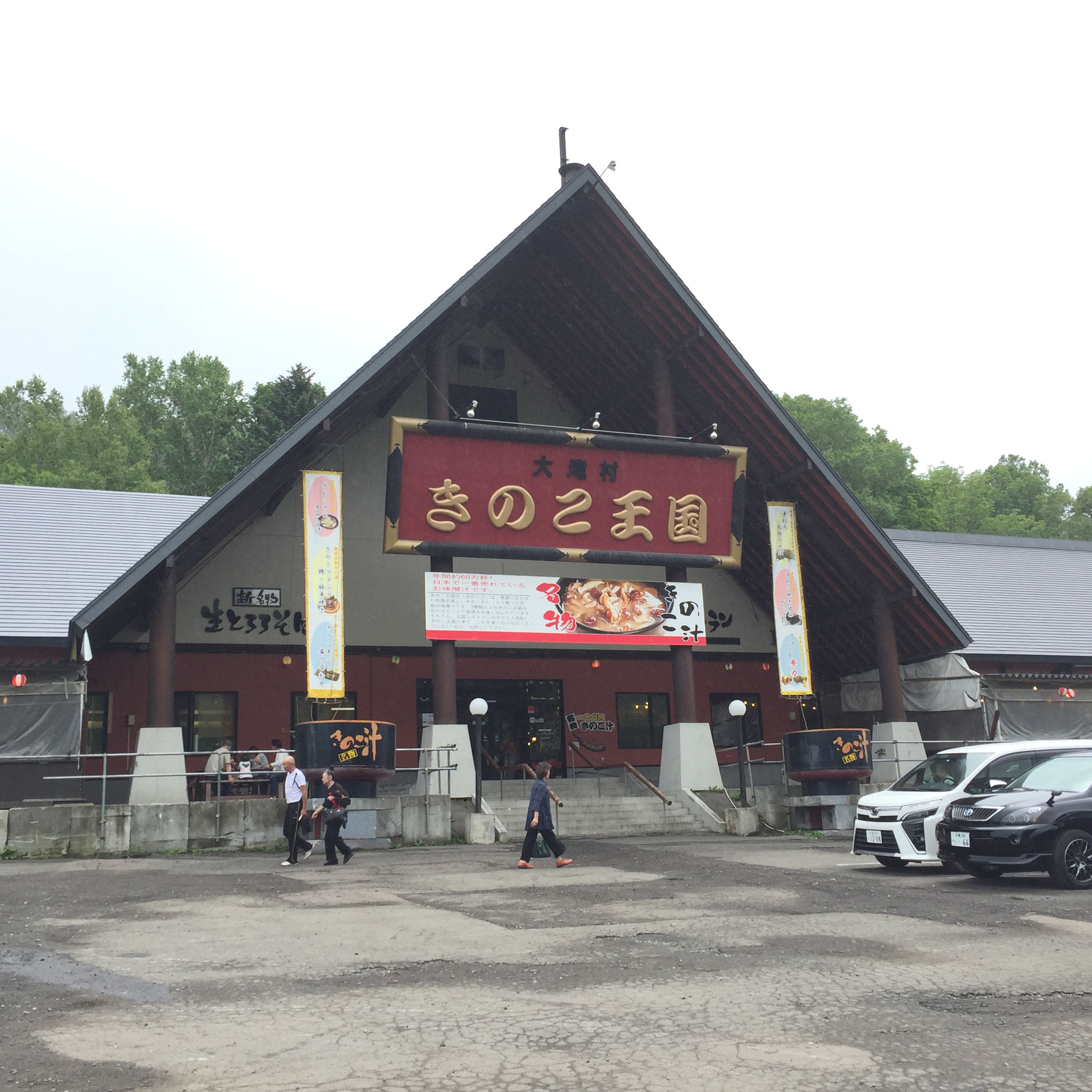 きのこ王国