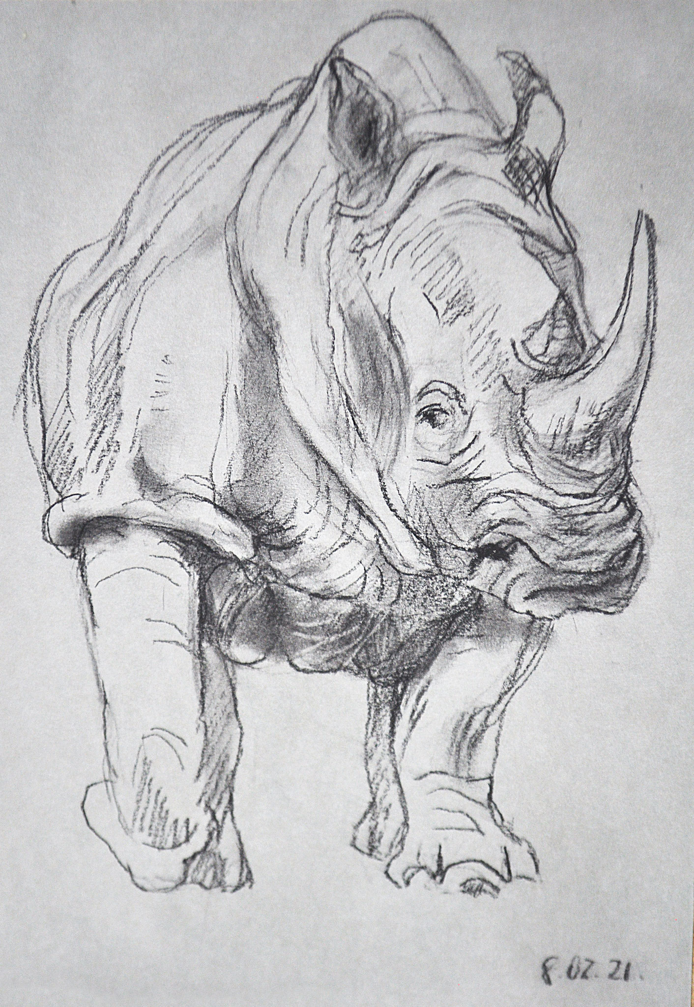 Großes Nashorn. Kohle auf getöntem Papier, 2021. Format: 21 x 29,7 cm