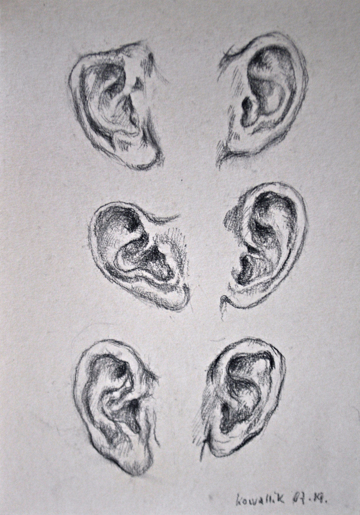 6 Ohrstudien. Kohlezeichnung auf getöntem Papier, 2019. Format: 21 x 29,7 cm