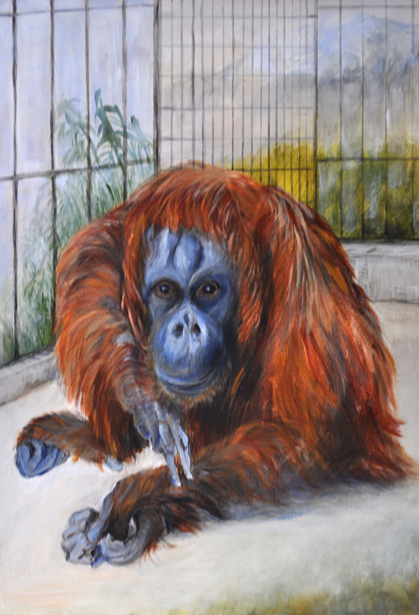 Orangutan. Tiergarten Schönbrunn. Acryl auf Leinen, 2010. Format: 50 x 70 cm