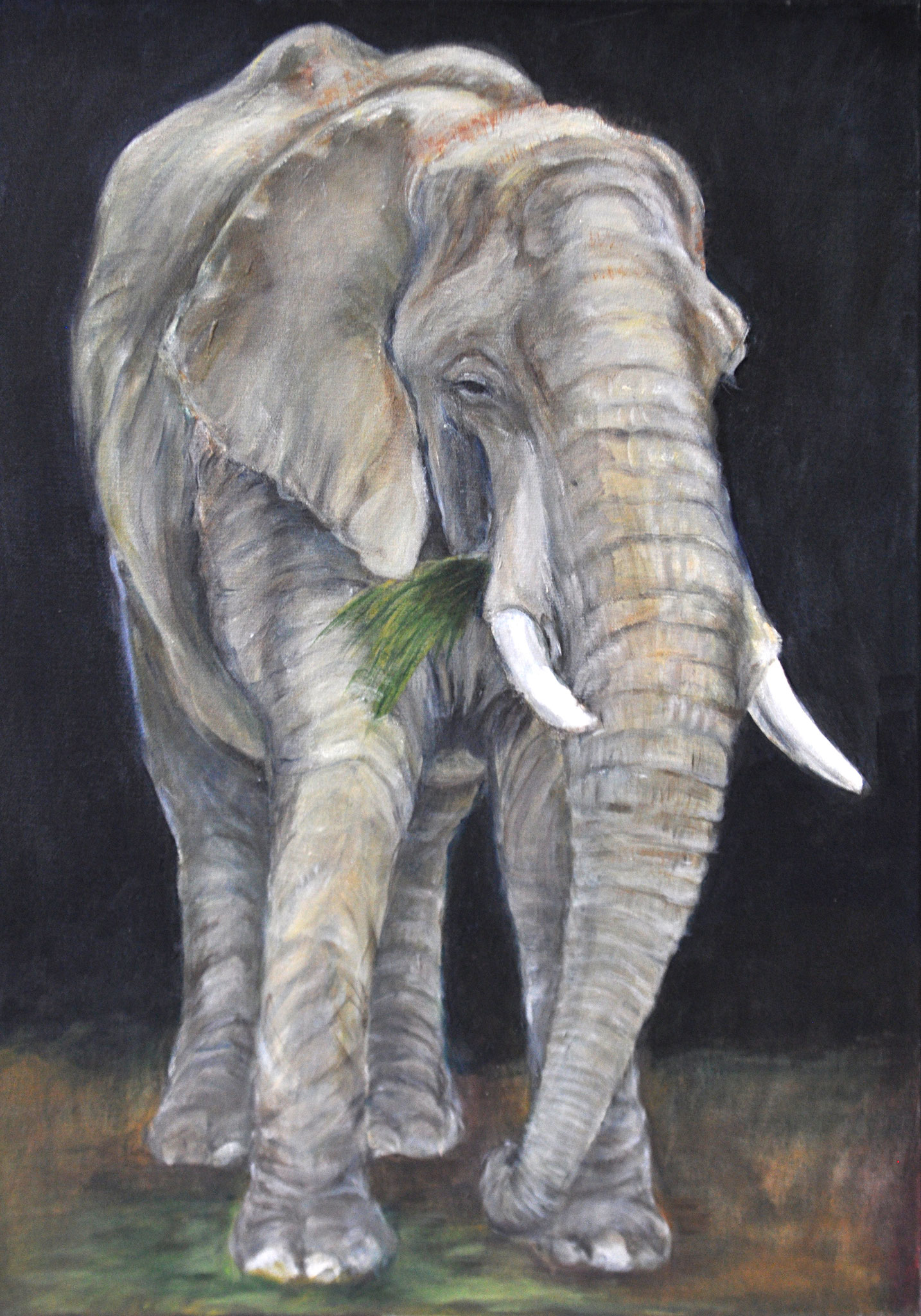 Elefant. Tiergarten Schönbrunn. Acryl auf Leinen, 2012. Format: 50 x 70 cm 