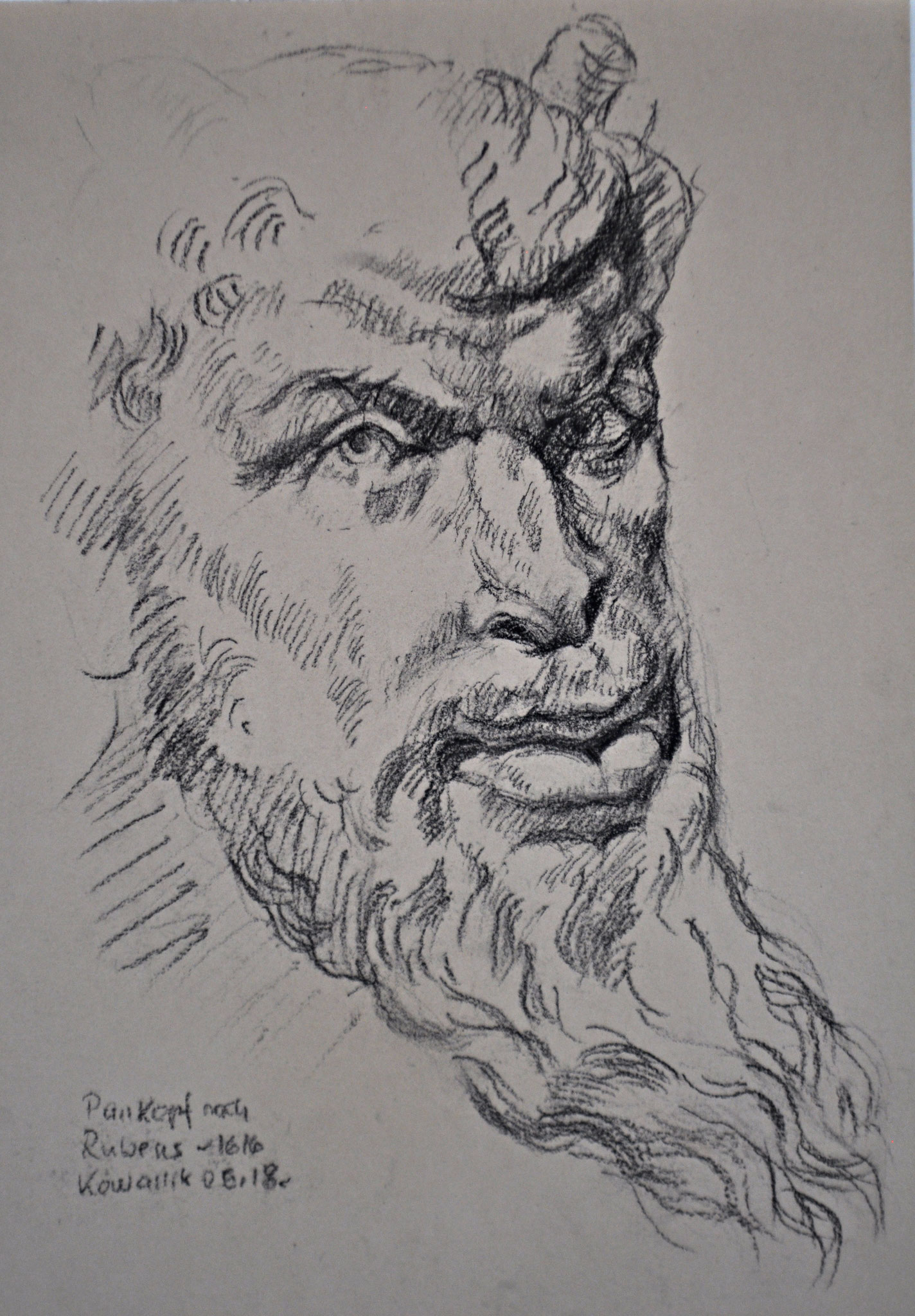 Pankopf nach Rubens. Kohlezeichnung auf getöntem Papier, nach Bildvorlage, 2018. Format: 21 x 29,7 cm