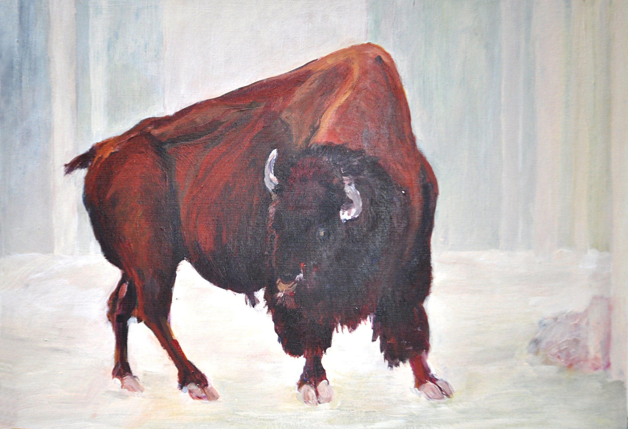 Bison. Tiergarten Schönbrunn. Acryl auf Malkarton, 2011. Format: 60 x 50 cm