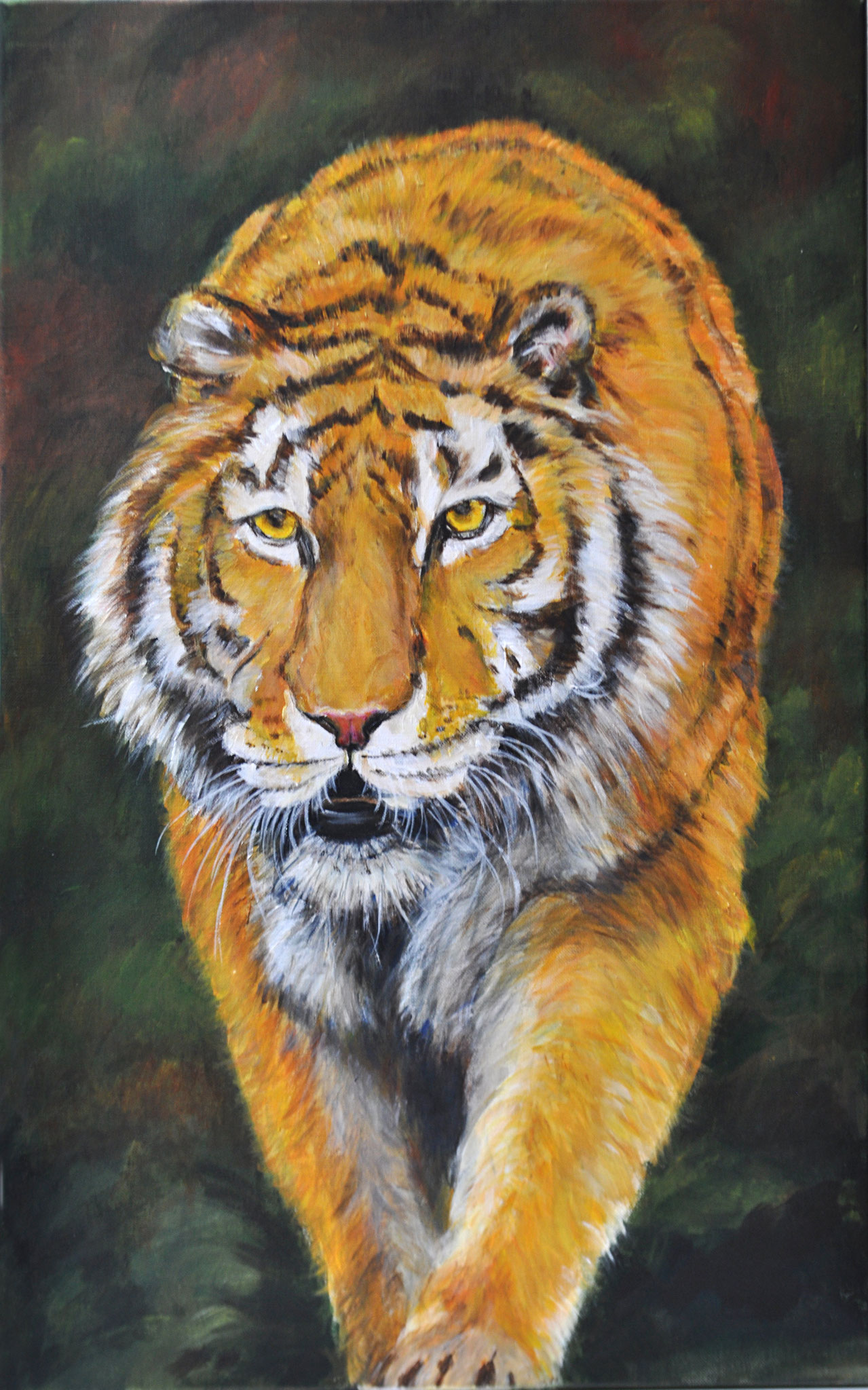 Tiger. Tiergarten Schönbrunn. Acryl auf Leinen, 2014. Format: 50 x 80 cm