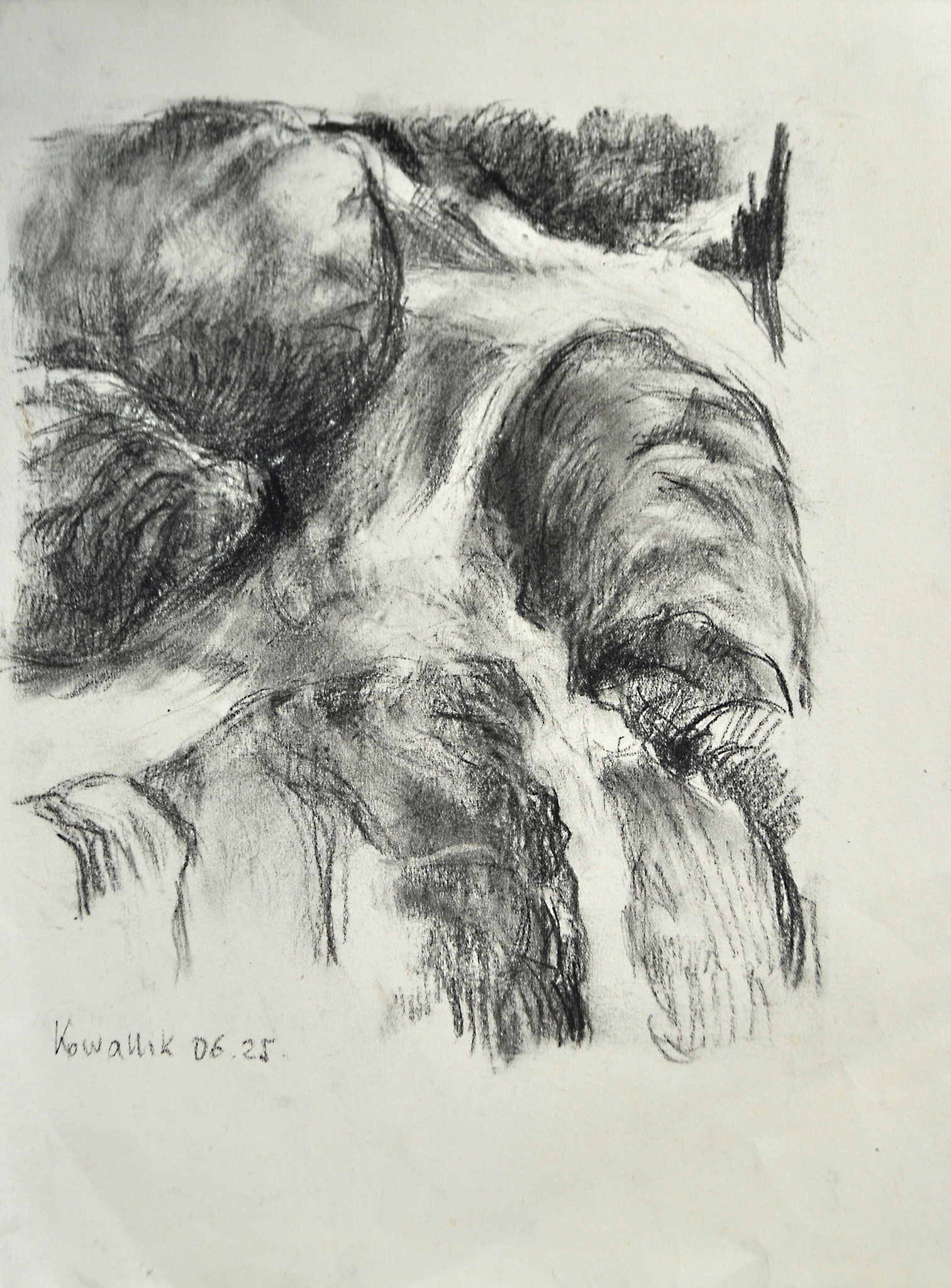 Bachlauf. Kohlezeichnung auf Papier, 2025. Blatt: 25 x 32 cm