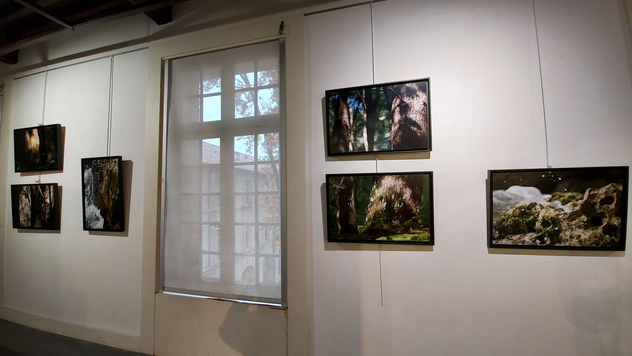 ART PROGRESS 2000 - Variations Artistiques - Avignon    Novembre 2021 