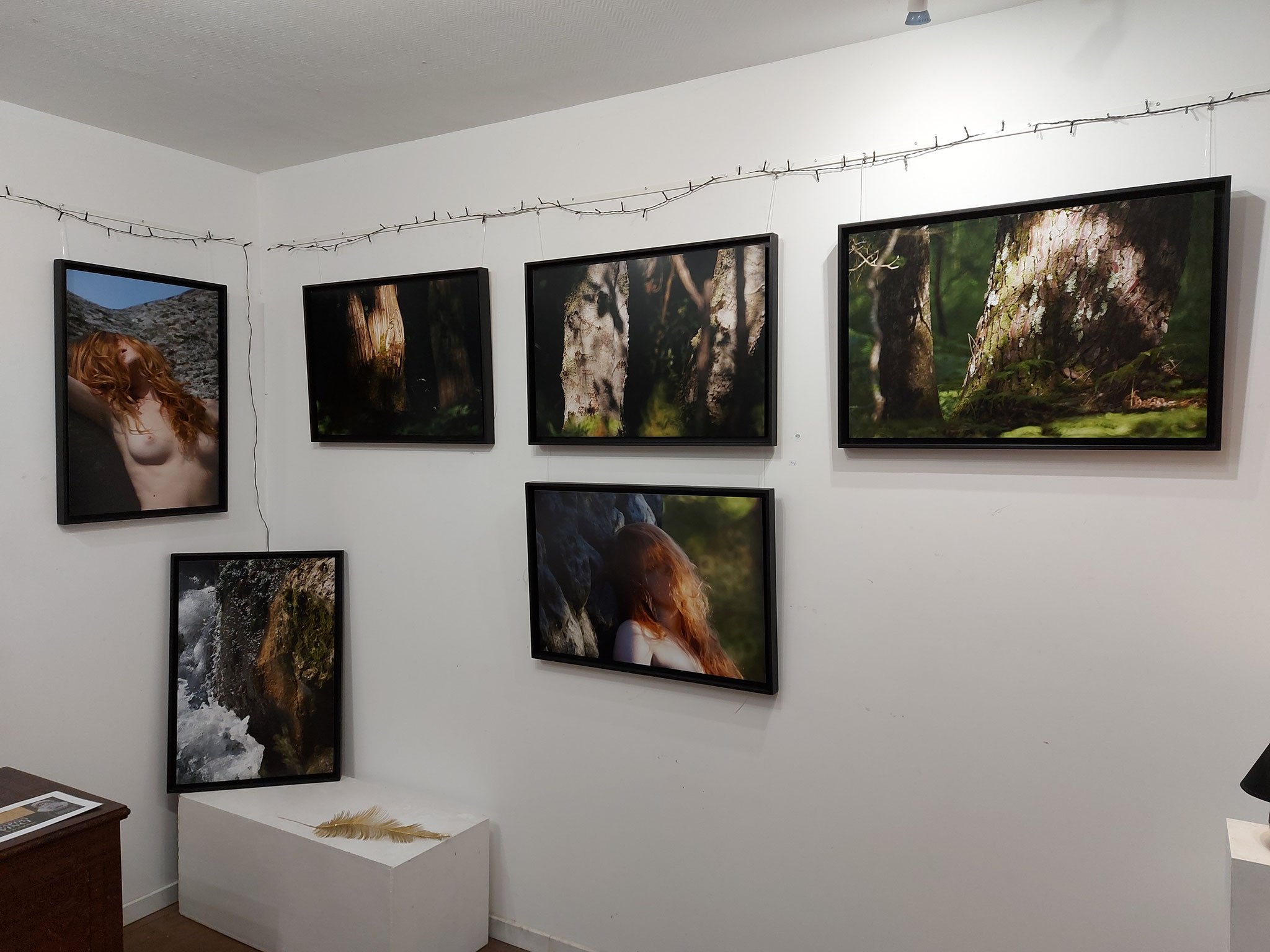 Galerie Roz in winter - Le corps humain dans tous ses états - Barbizon    Janvier 2022 