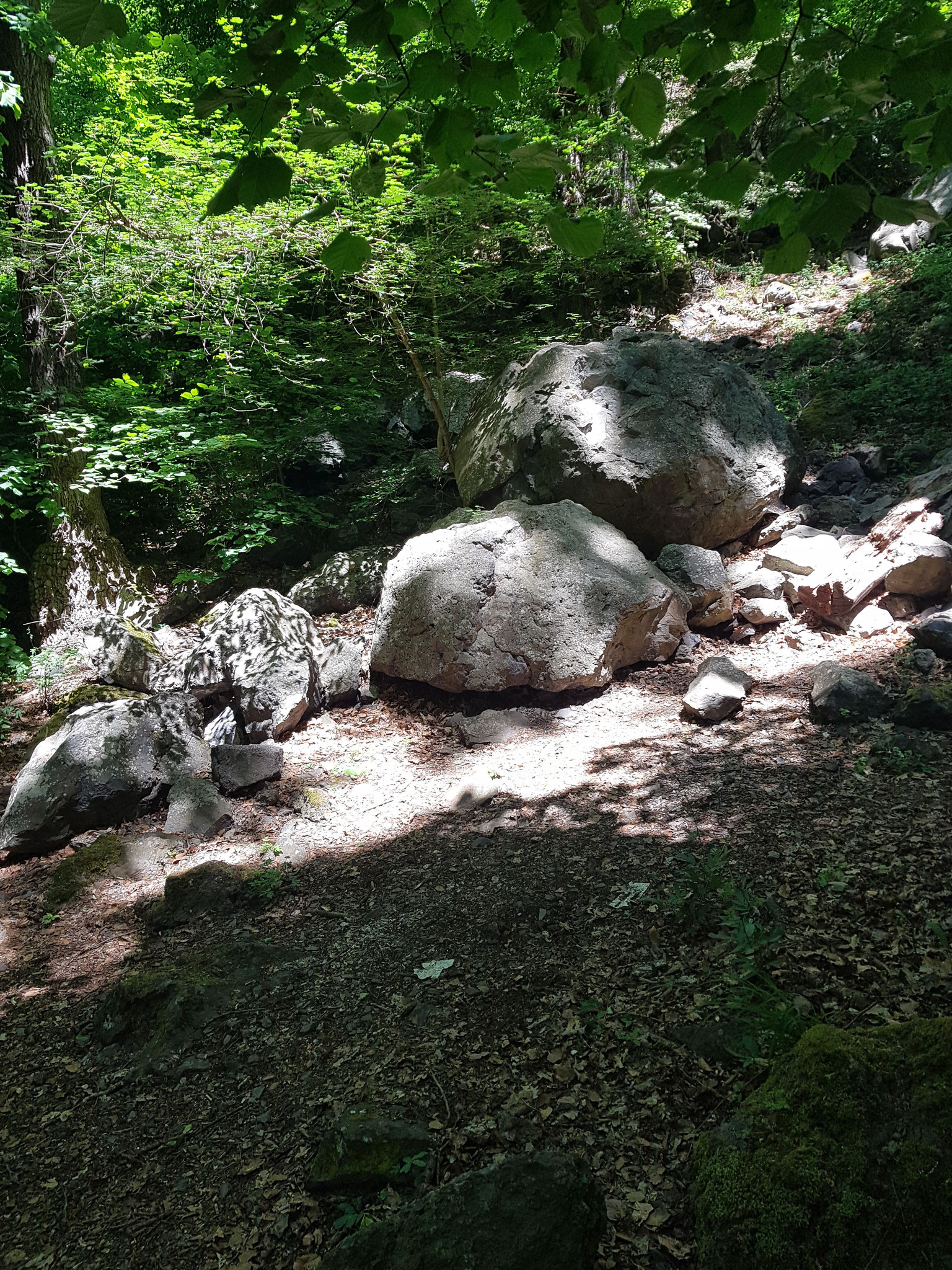 "dieEifel erfahren" Lavabomben am Laacher See
