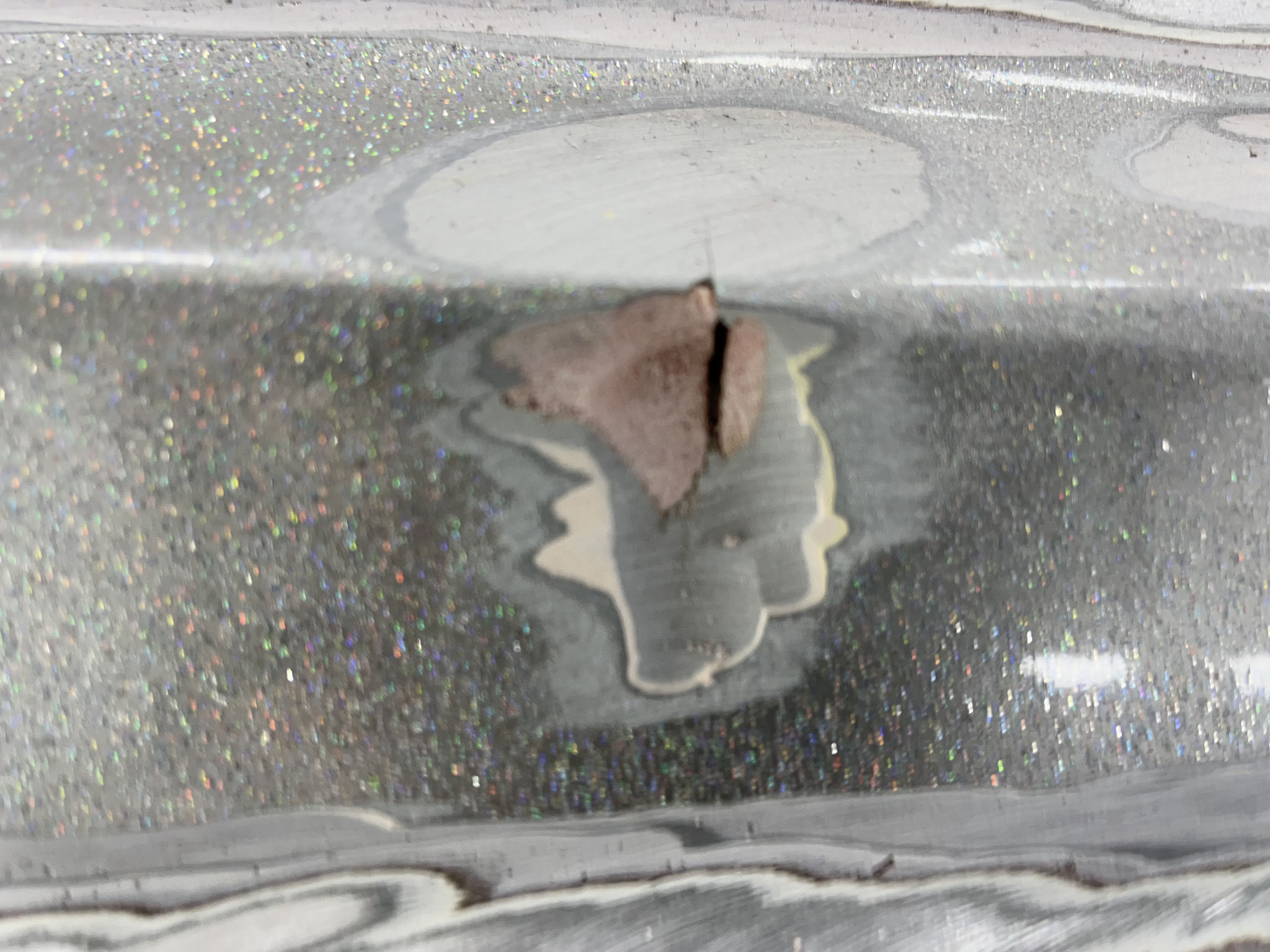 ワンオフボディー加工車の修理前のボンネットのチェック画像２
