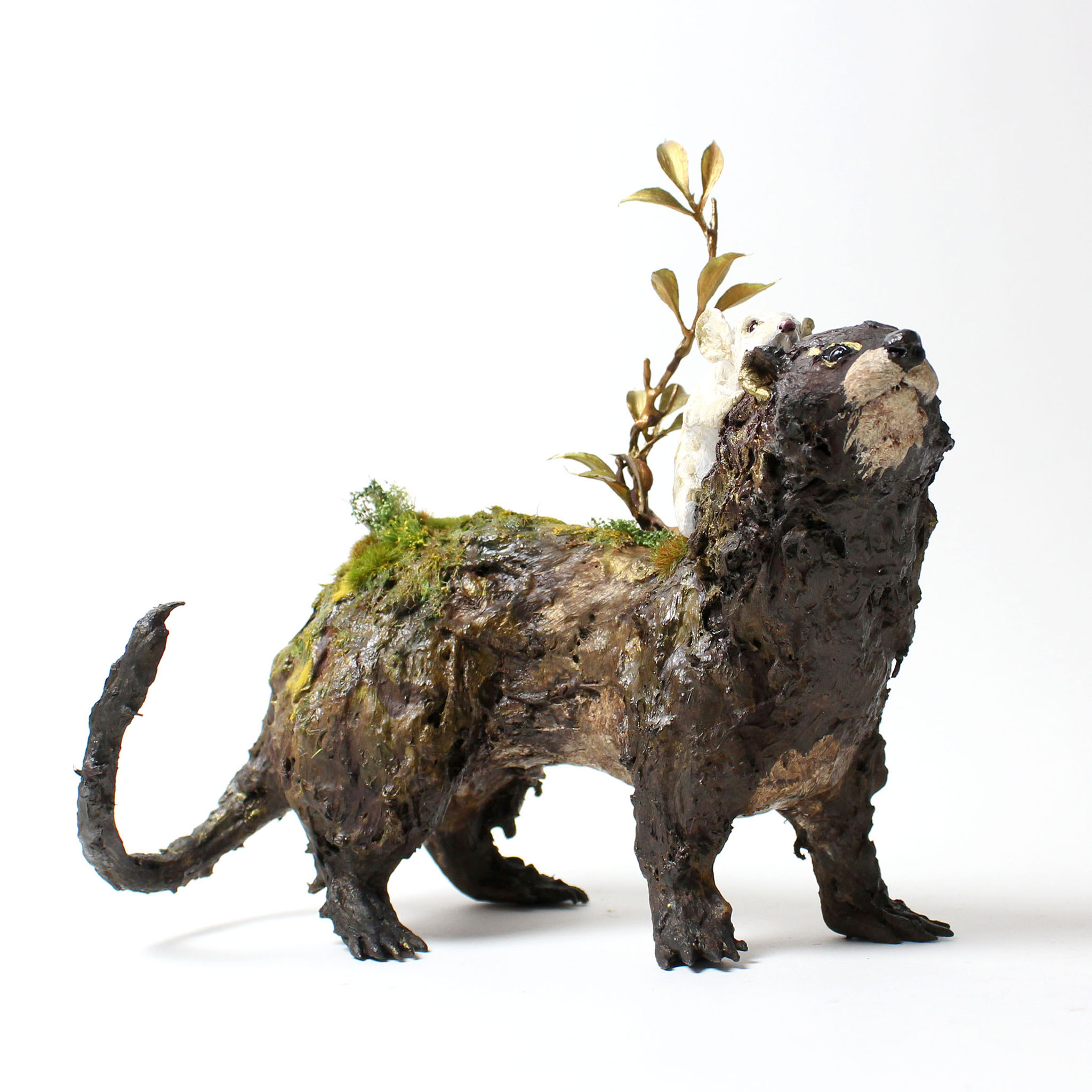 bobioヤマモミジ 送料無料 山紅葉 ヤマモミジ 盆栽 黒陶器鉢 下皿セット モミジ