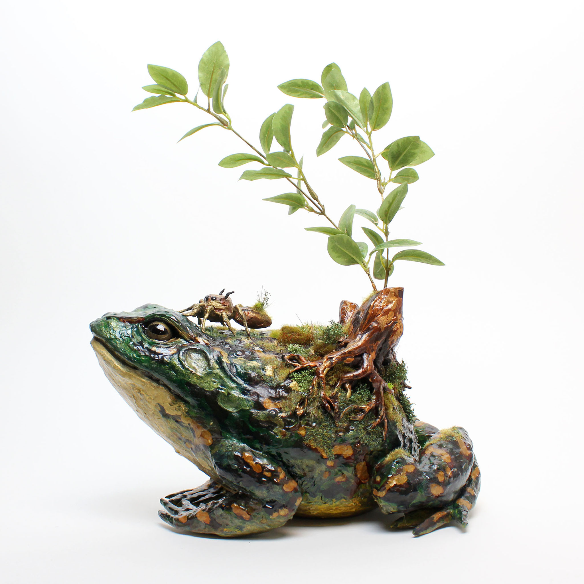 カエルと羊 image.jpg