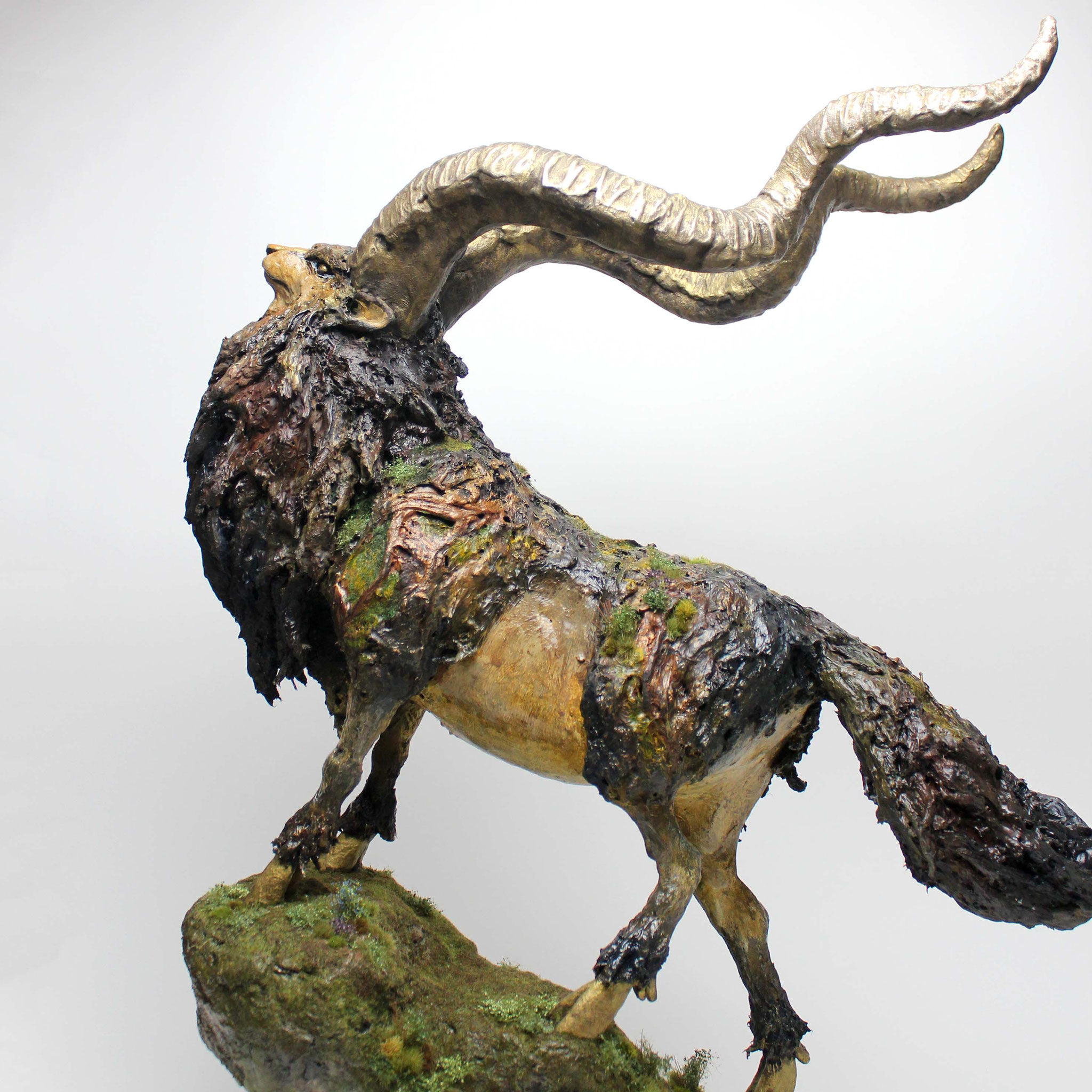 山羊の剥製　装飾 紫幹山羊 - koubou-yagigura ページ！