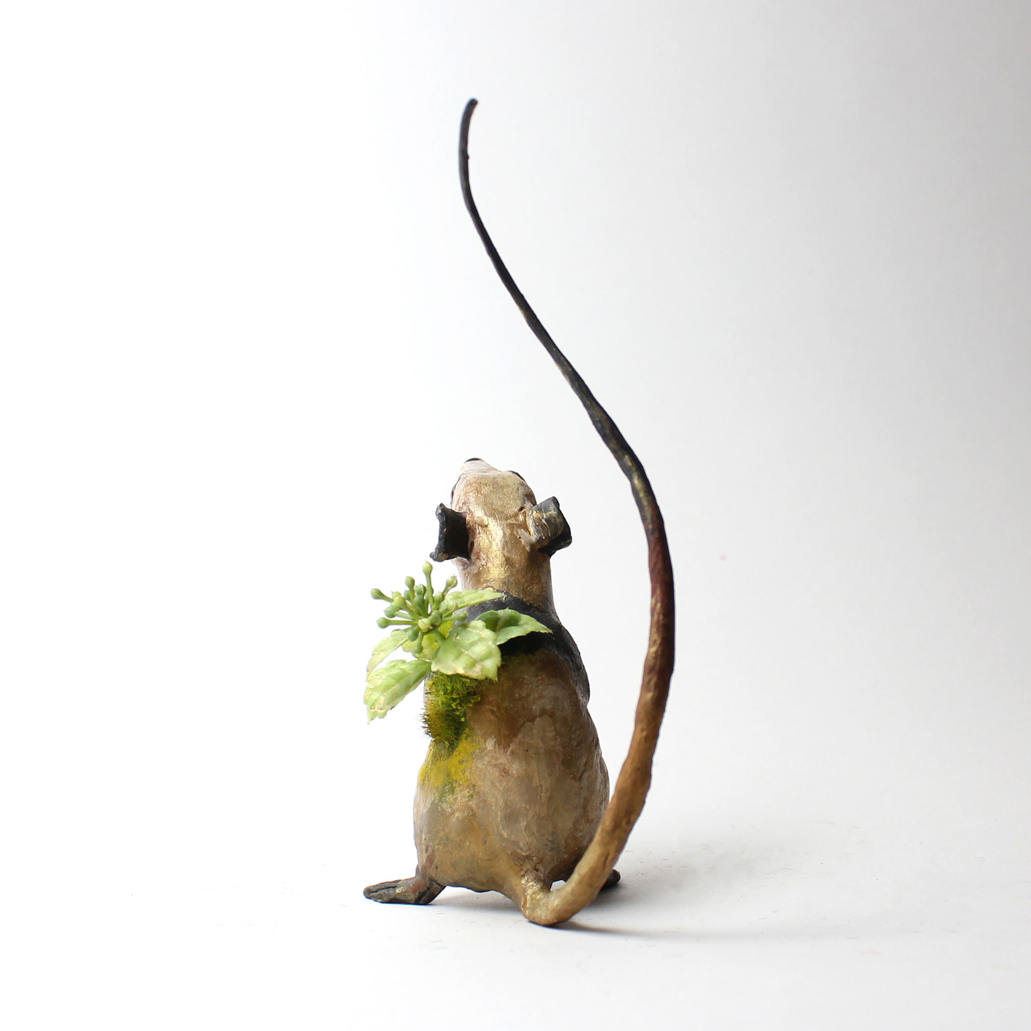 たぬきになりたい[ネズミ] - koubou-yagigura ページ！