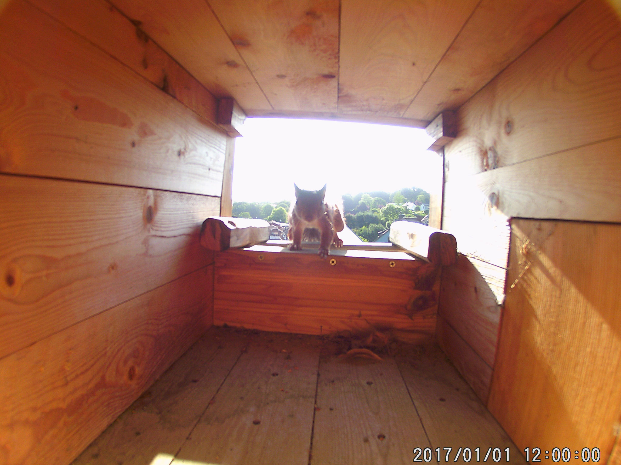 Man kann auch ohne Flügel hoch steigen