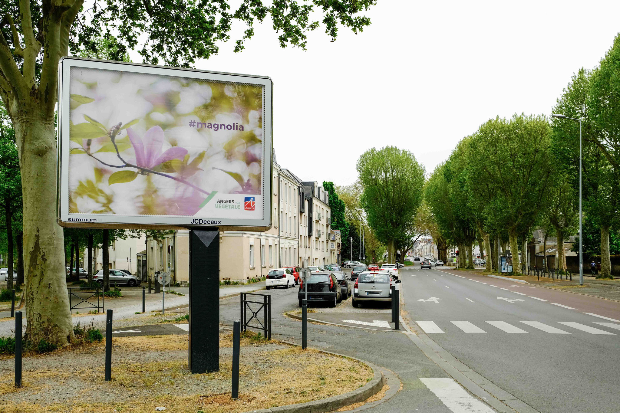Angers Ville Végétale