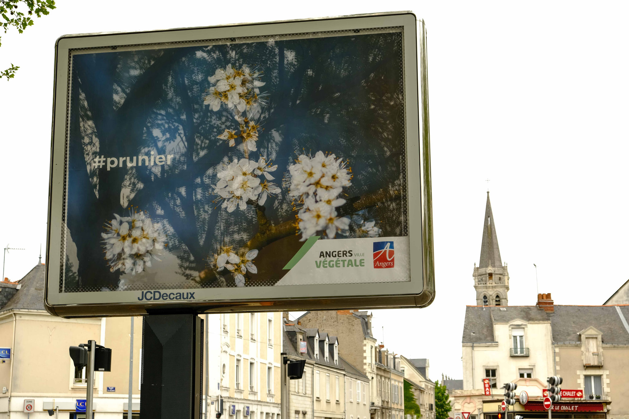 Angers Ville Végétale