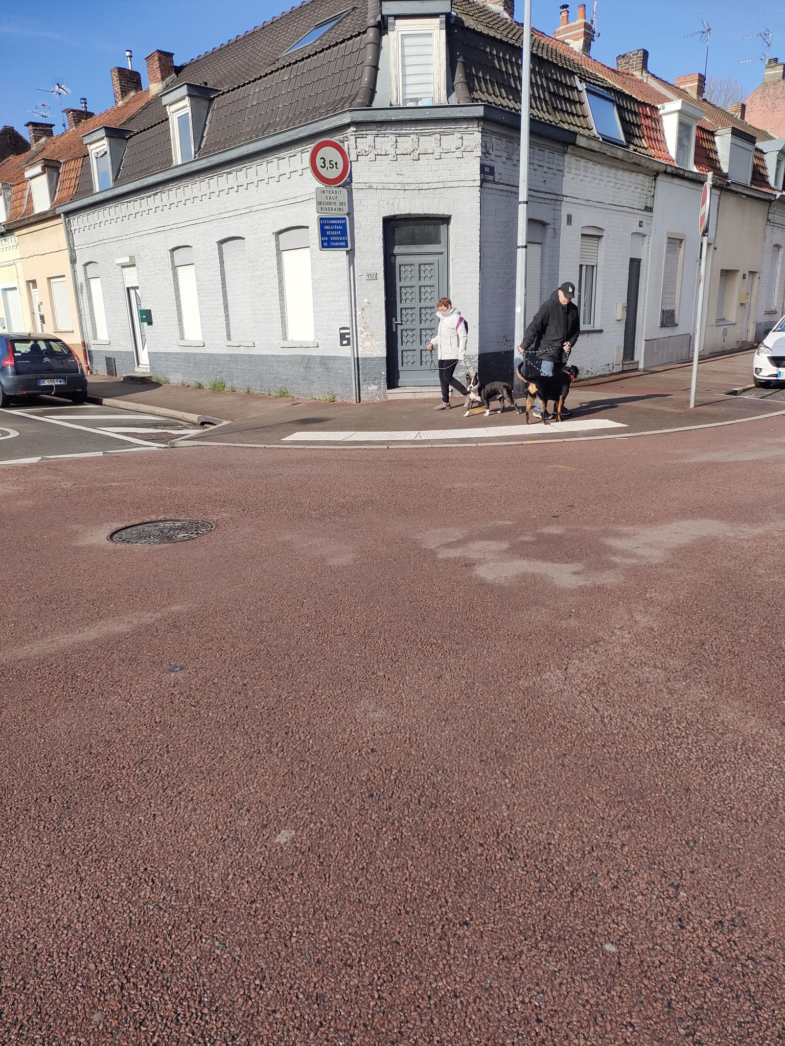 Éducateur canin Tourcoing - Art'mony The Lobo  