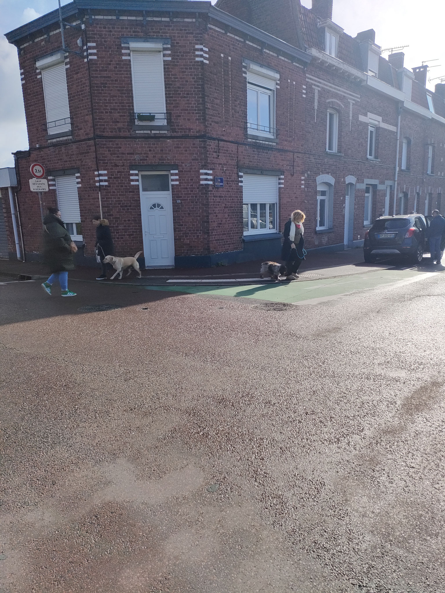 Éducateur canin Tourcoing - Art'mony The Lobo  