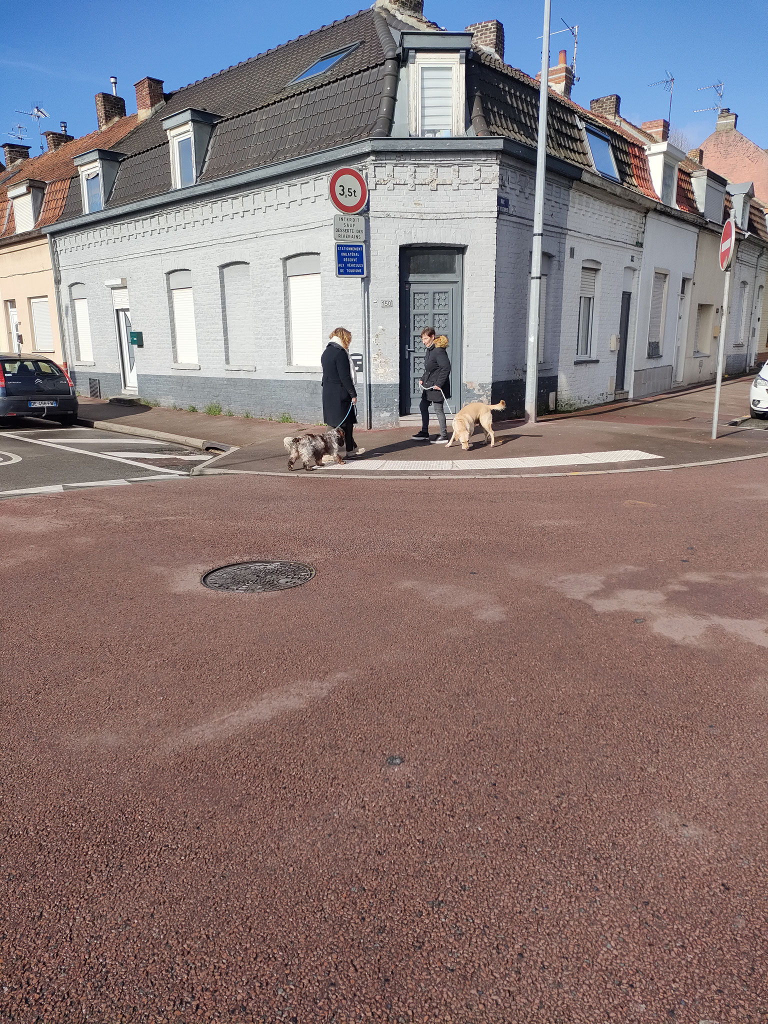 Éducateur canin Tourcoing - Art'mony The Lobo  