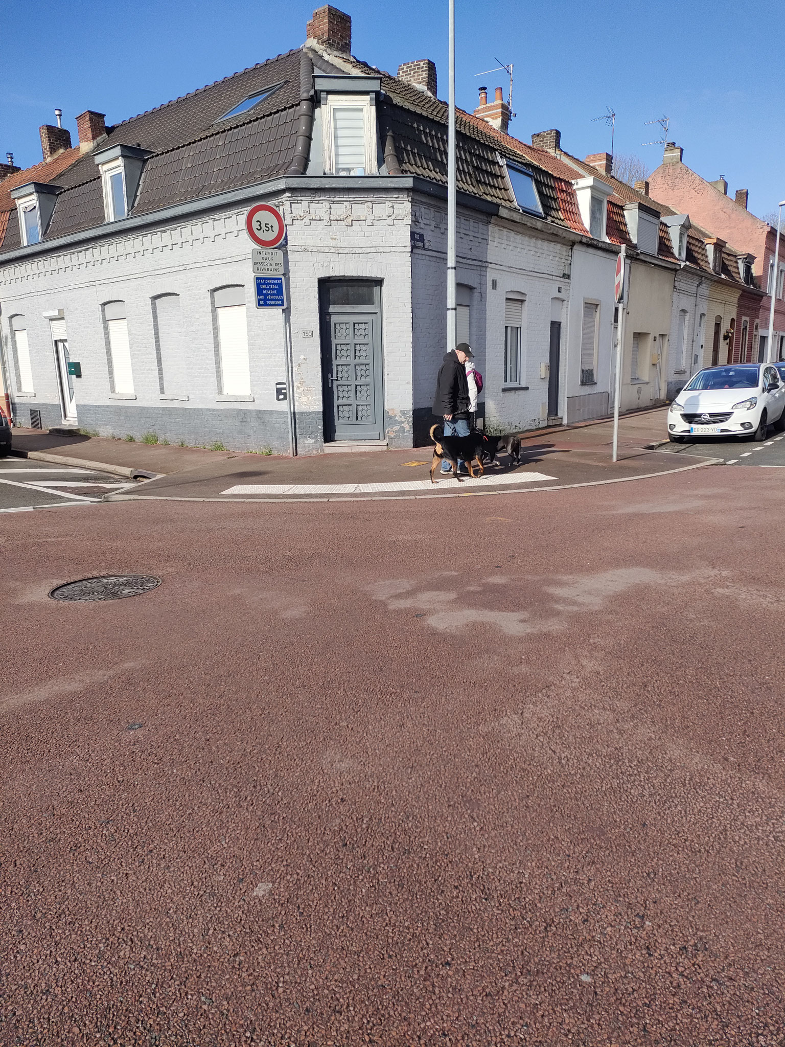 Éducateur canin Tourcoing - Art'mony The Lobo  
