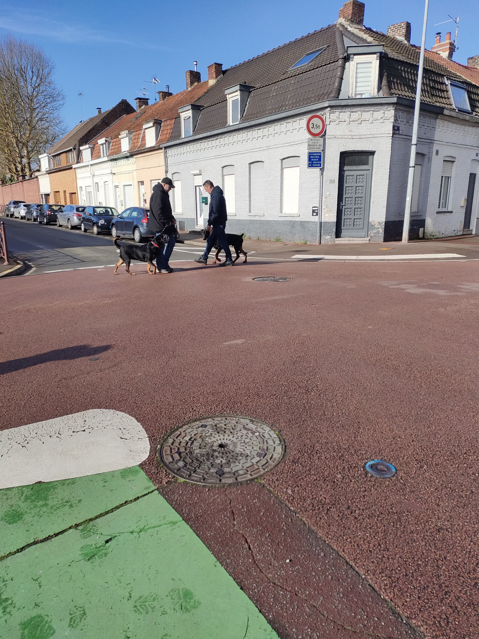 Éducateur canin Tourcoing - Art'mony The Lobo  