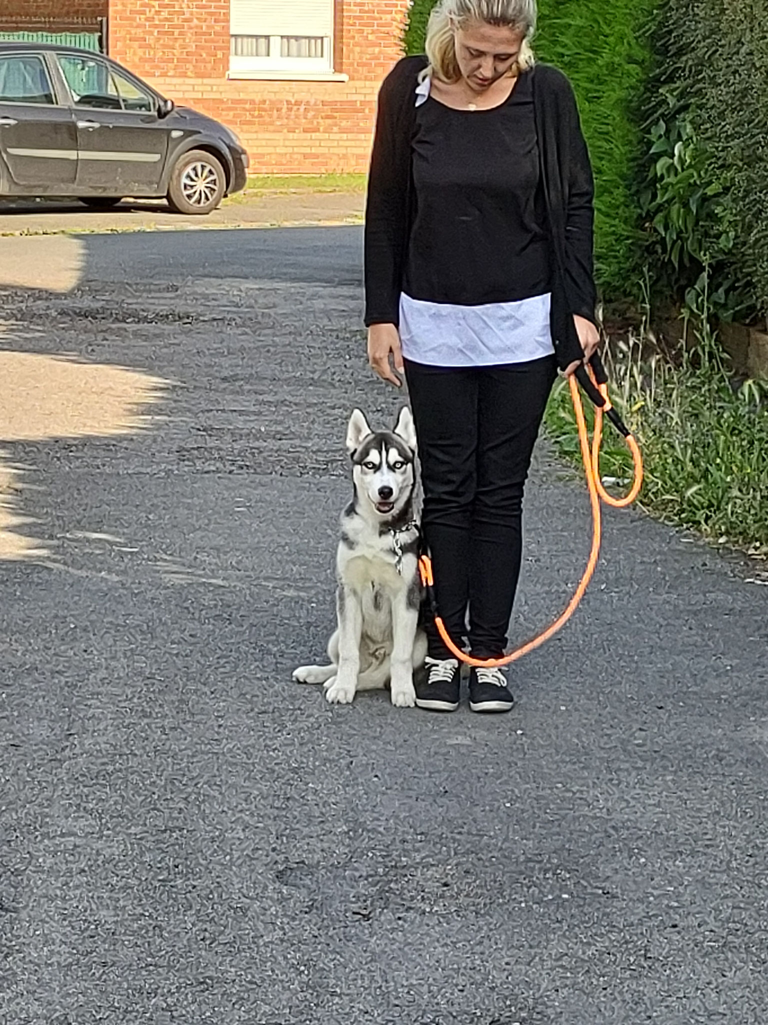 "Scoot" Husky