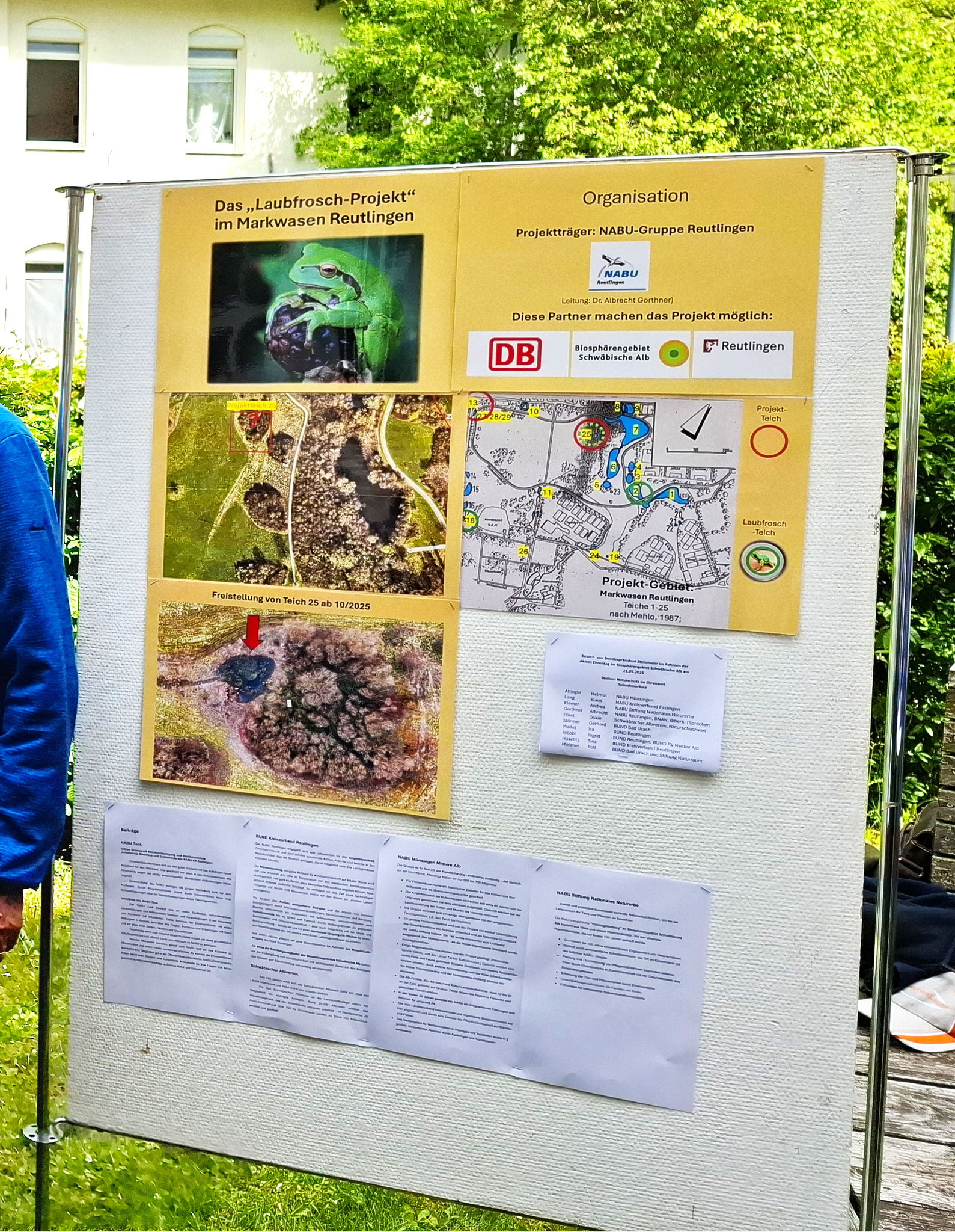Infotafel zum Laubfroschprojekt. Foto: Albrecht Gorthner