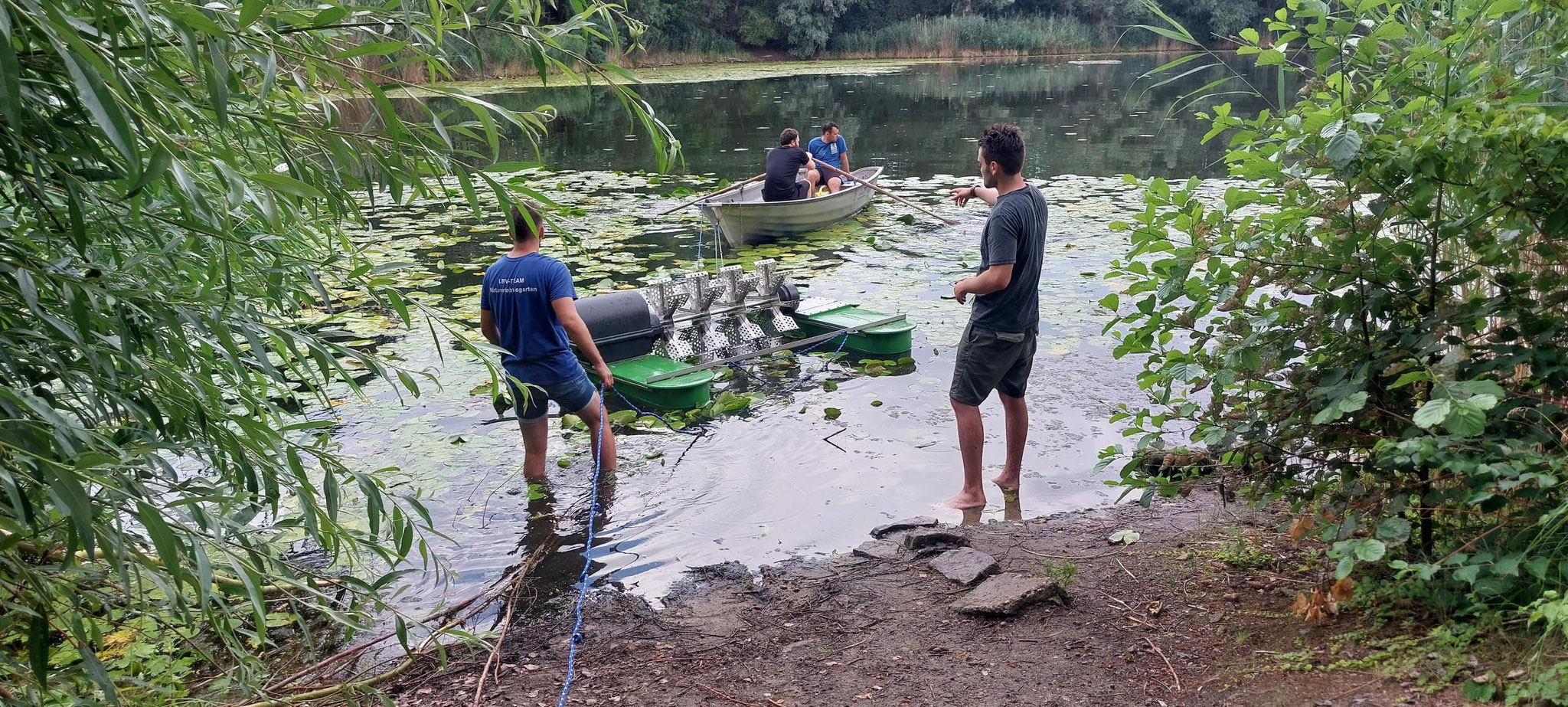 Der Teichbelüfter wird ins Wasser gelassen (Foto: Thomas Staab)