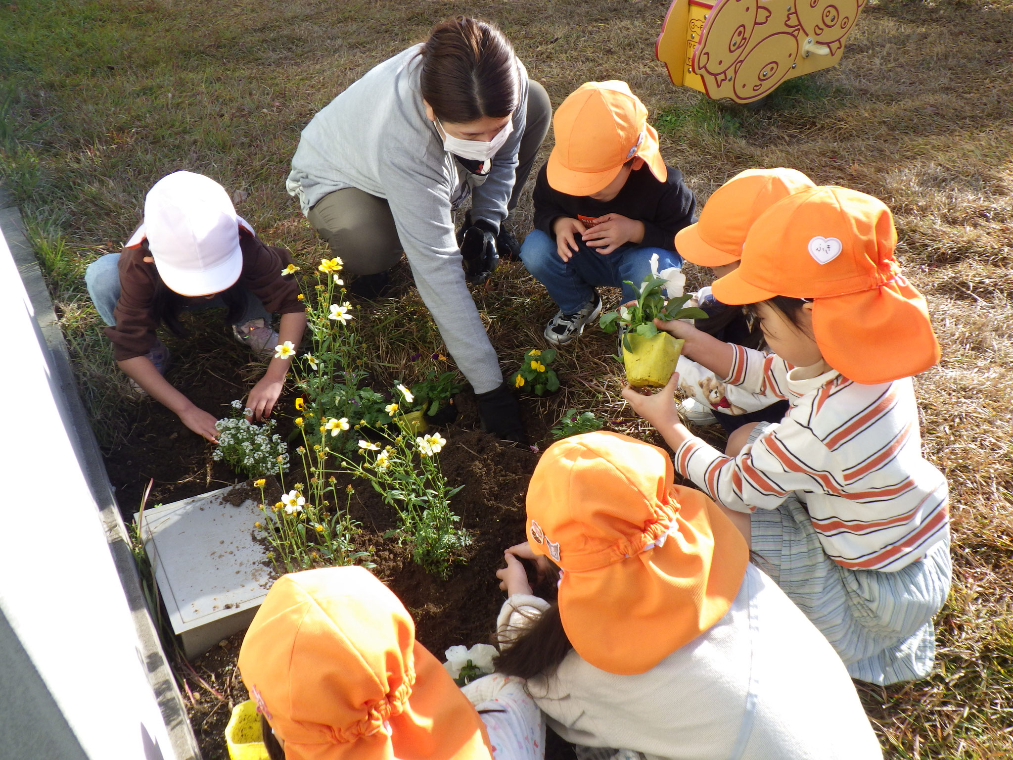 用務の先生に、花の名前と植え方を教えてもらったよ！