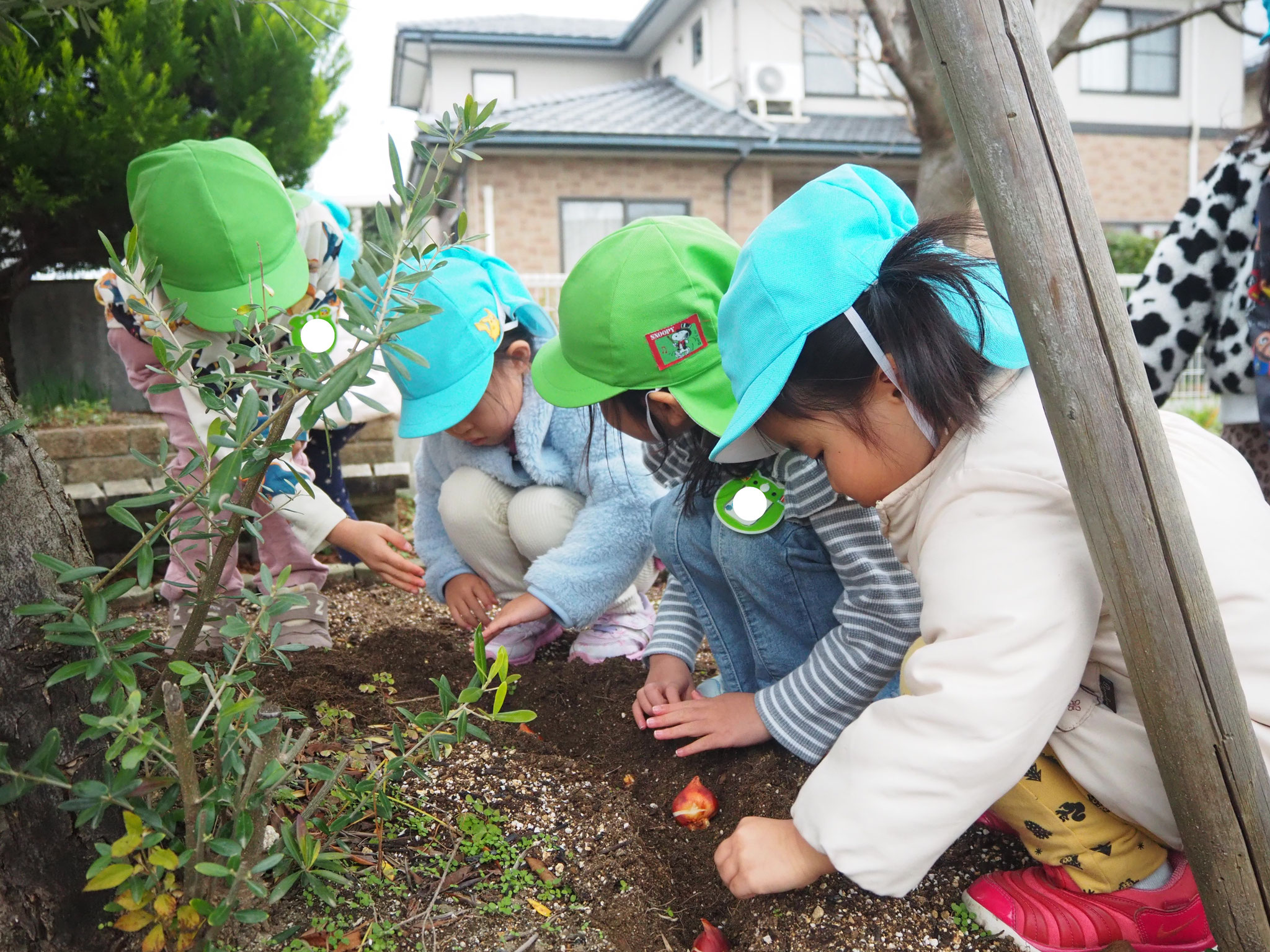 本当にお花咲くのかな？？