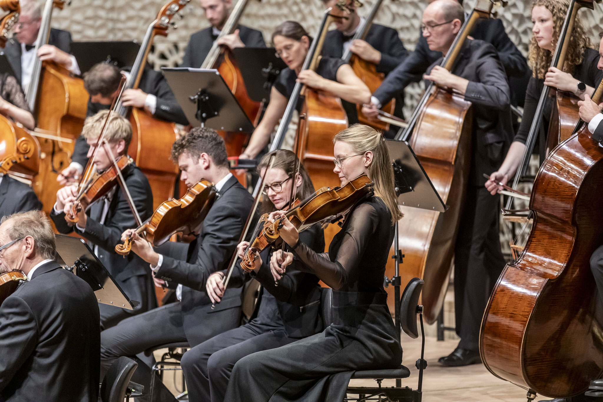 Heldenleben and Totenfeier with the Norddeutsche Orchesterakademie at the Elbphilharmonie (©Joerg Schwalfenberg www.corporate-photo.com)
