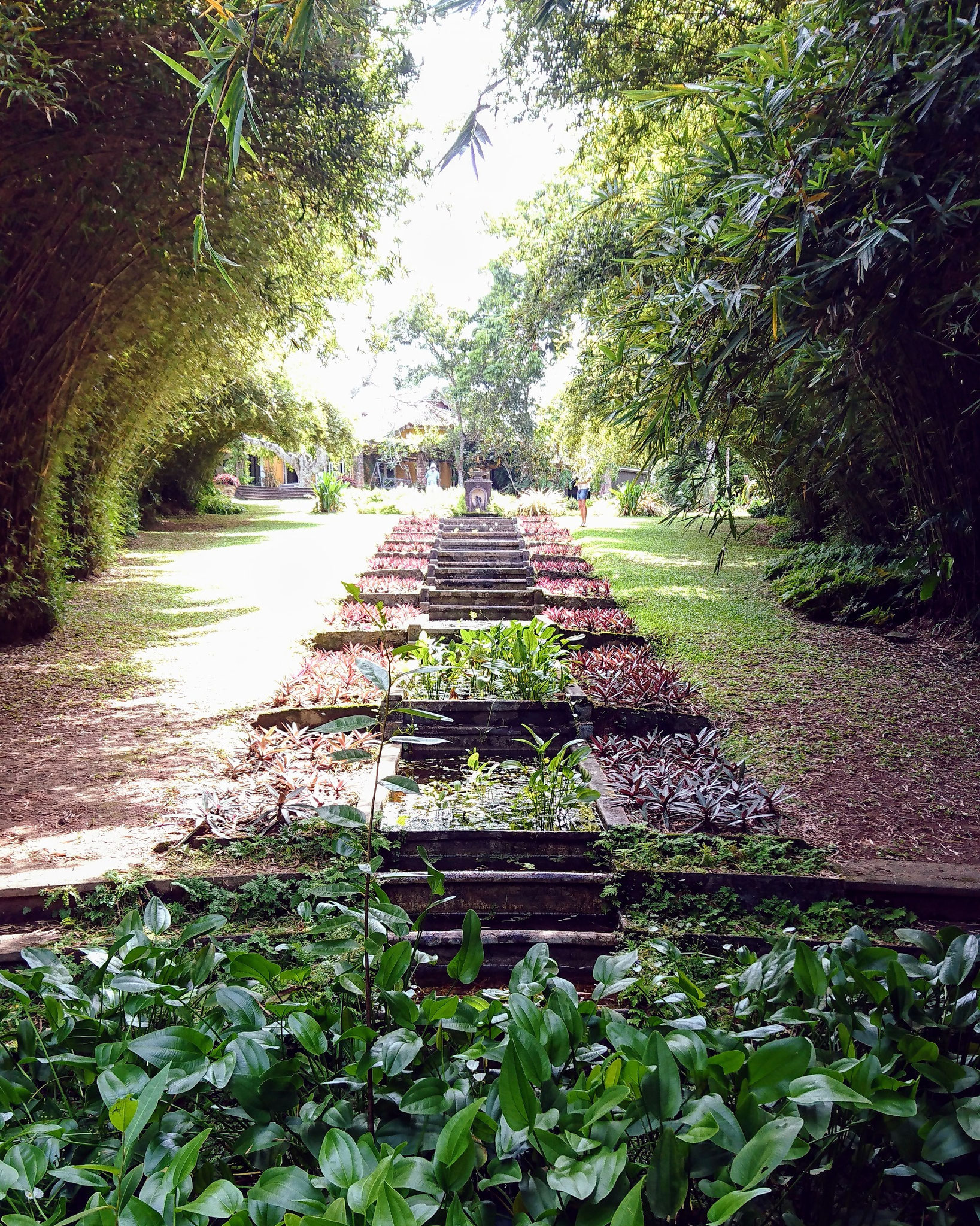 Brief Garden in Beruwala