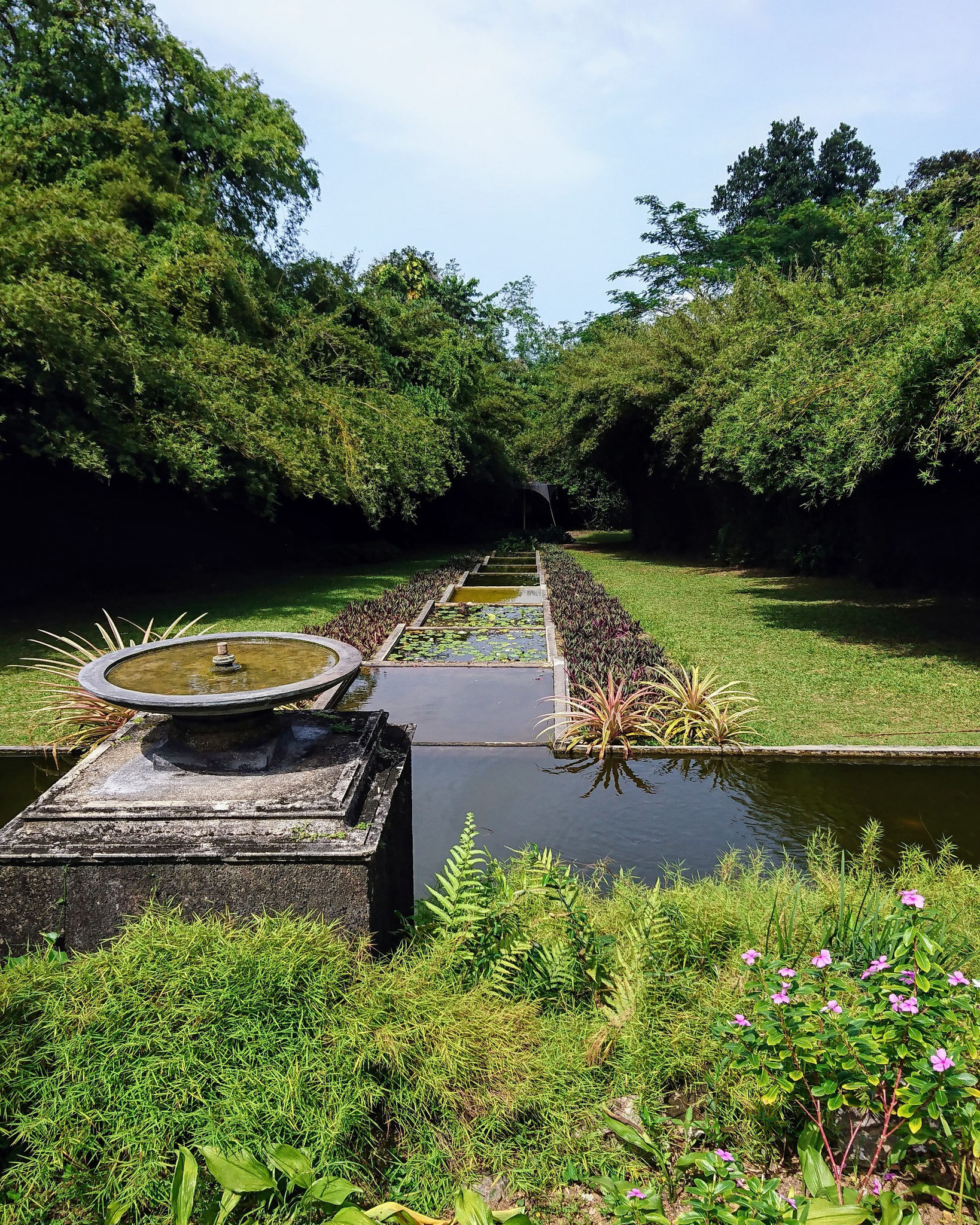 Brief Garden in Beruwala