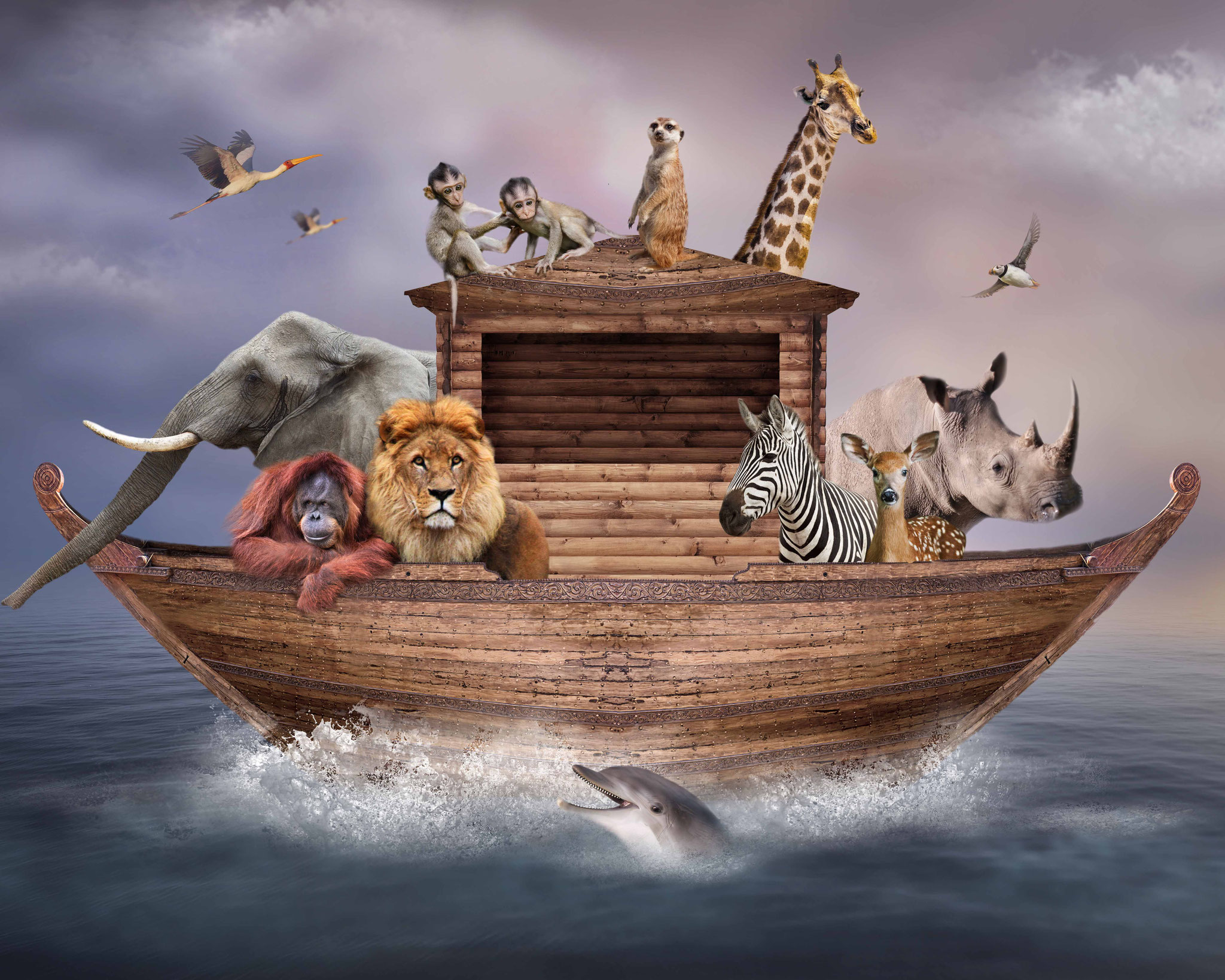 Animal; Noah's Ark
