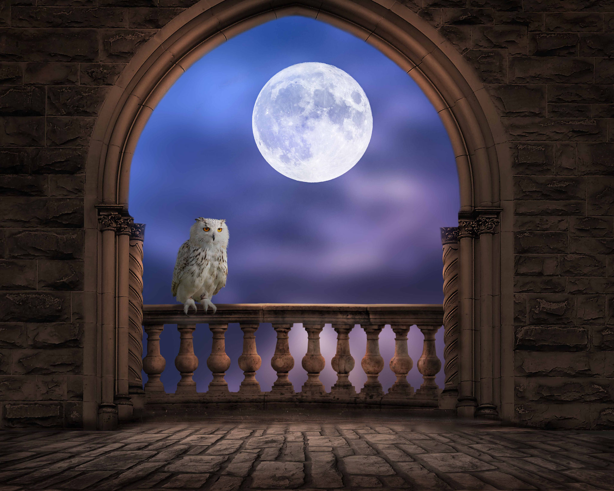 Fantasy; Owl & Moon