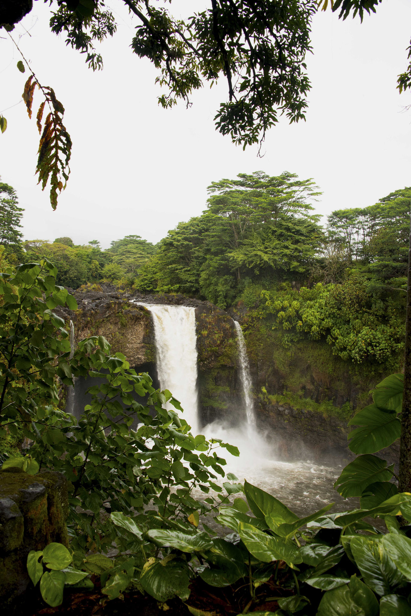 Akaka Falls