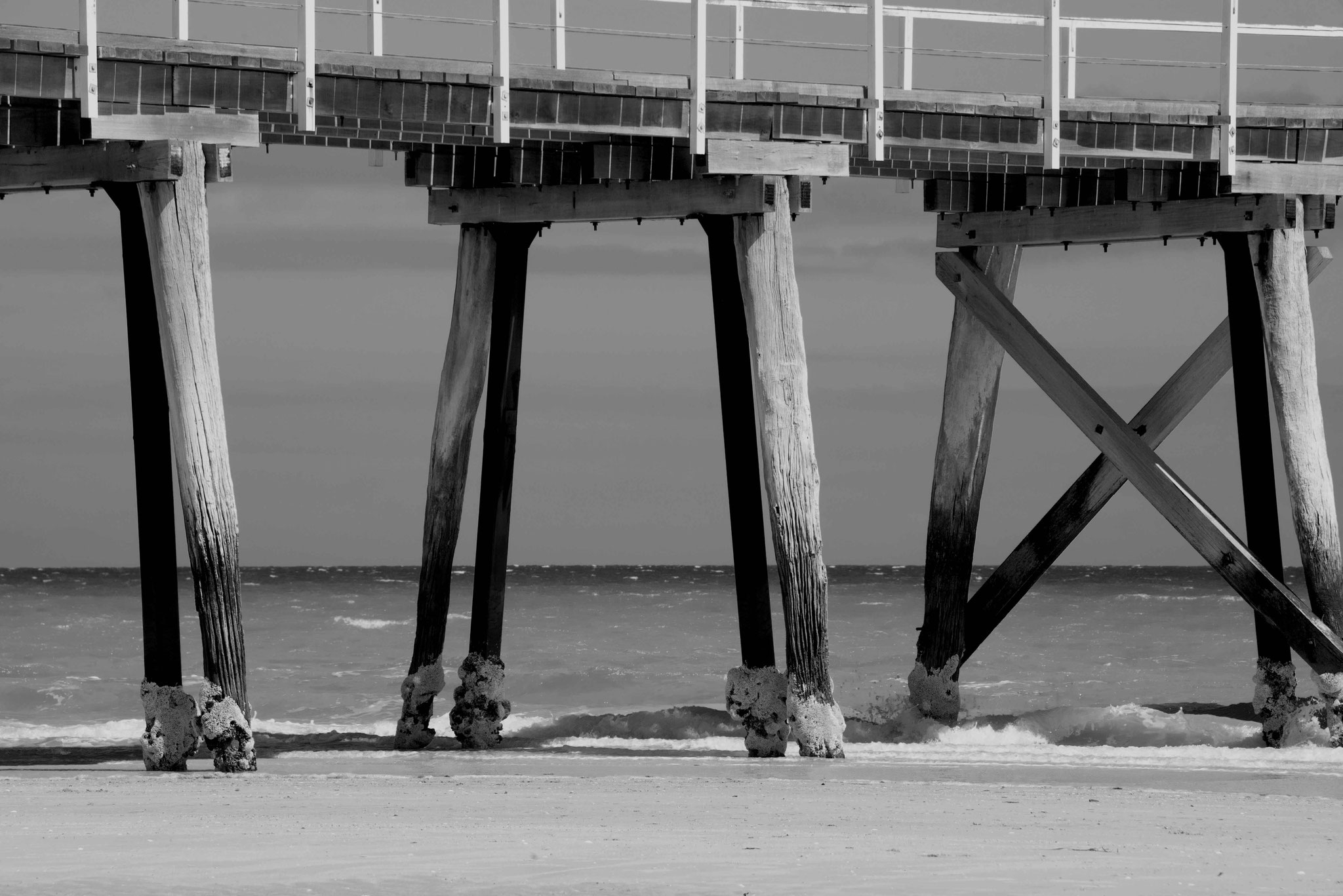 Largs Bay Beach 14